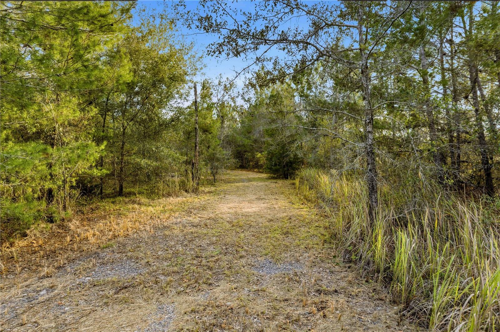 NO FLOOD ZONE, NO DEED RESTRICTIONS AND NO HOA

If you've dreamt of owning your own private piece of heaven you could make your home sweet home, this is it!
FIVE FENCED ACRES situated back where you're out of the hustle and bustle of town, yet only six minutes to Coastal Plaza where you'll find shopping, restaurants, and more with hospitals just down the road, along with grocery stores and all the conveniences you'll need just a quick drive away. 
This gorgeous property is partially cleared, with a milled driveway, swing gate and beautiful trees giving you a serene private place to garden, raise livestock, let the kids roam and just enjoy living life the way YOU see fit, with no distractions, regulations, or rules.