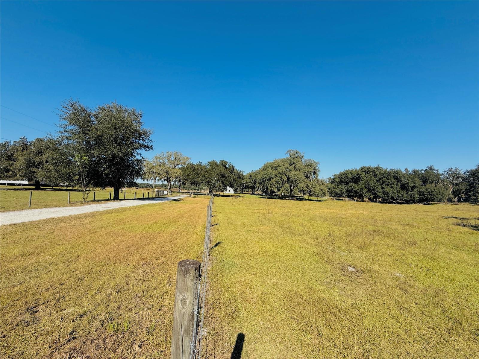 SUMTER GARDENS - Residential