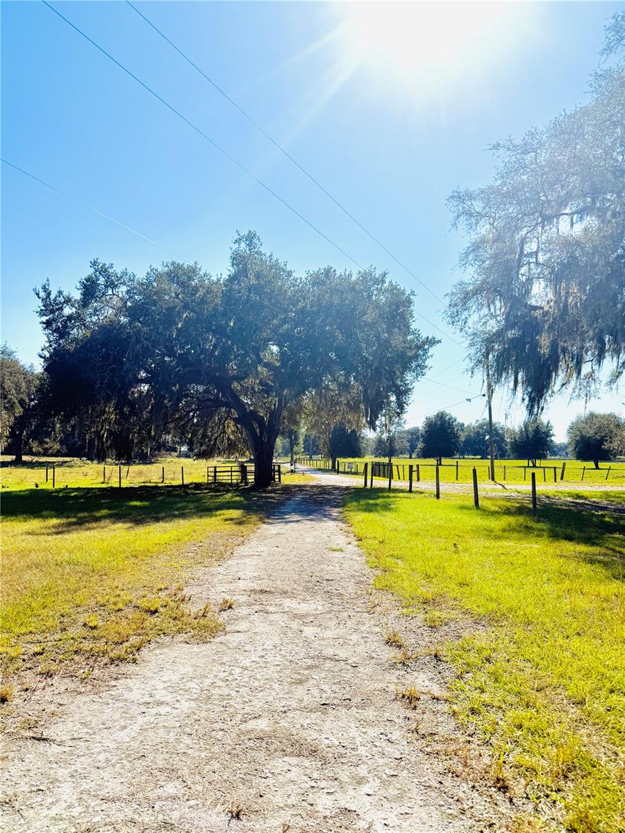 SUMTER GARDENS - Residential