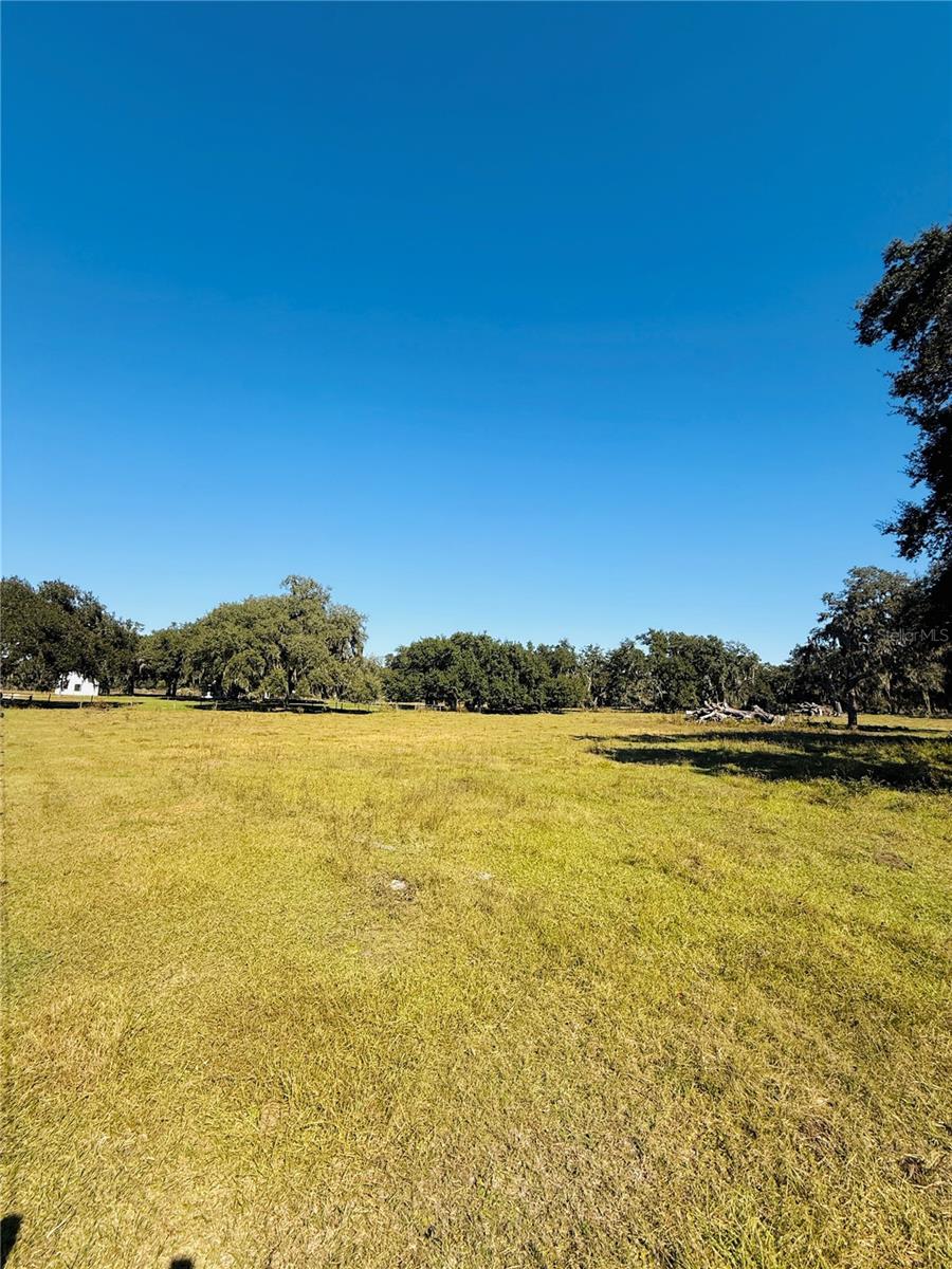 SUMTER GARDENS - Residential