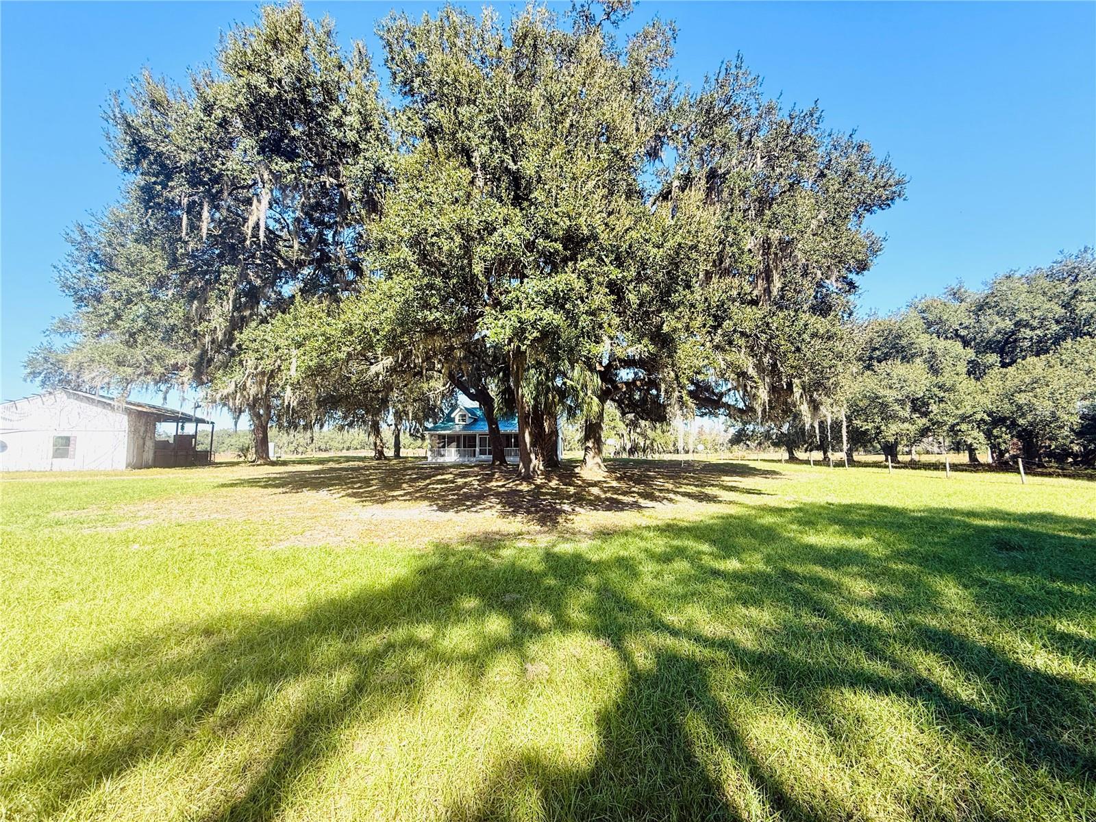 SUMTER GARDENS - Residential