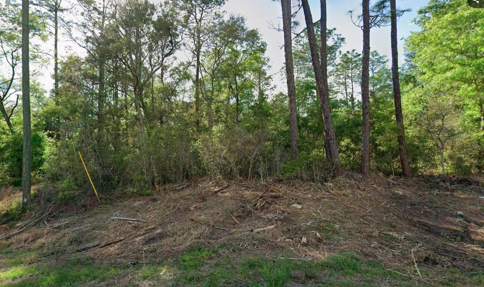 Build the home you've always envisioned on this oversized 0.29-acre residential lot in the desirable community of Citrus Springs. Offering plenty of space for a custom home, pool, outdoor living area, and beautifully landscaped yard, this generous homesite provides the flexibility and privacy today's buyers are seeking. Nestled on a peaceful street, you'll enjoy convenient access to shopping, dining, medical facilities, schools, parks, and golf courses, while being just minutes from Rainbow Springs State Park, Rainbow River, and Crystal River for kayaking, boating, fishing, tubing, and year-round outdoor recreation. With easy access to Dunnellon, Ocala, Inverness, and major highways, this property is ideal for building your forever home, a seasonal retreat, or making a smart long-term investment. Don't miss this opportunity to own a spacious homesite in one of Central Florida's fastest-growing communities.