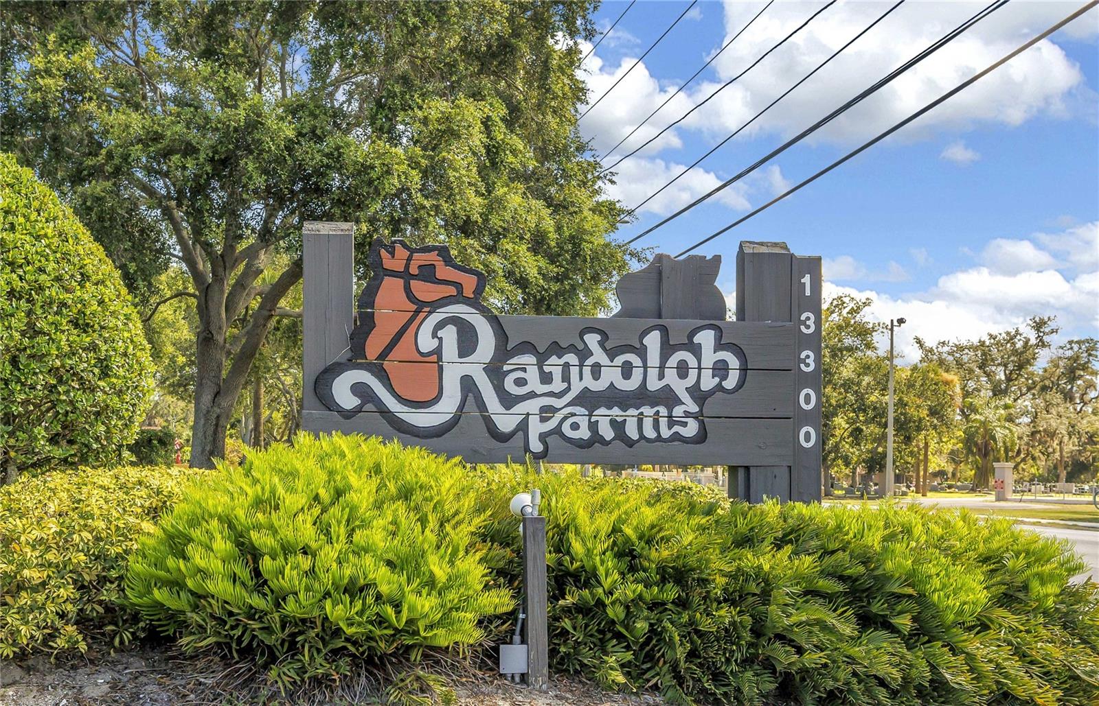 RANDOLPH FARMS CONDO - Residential