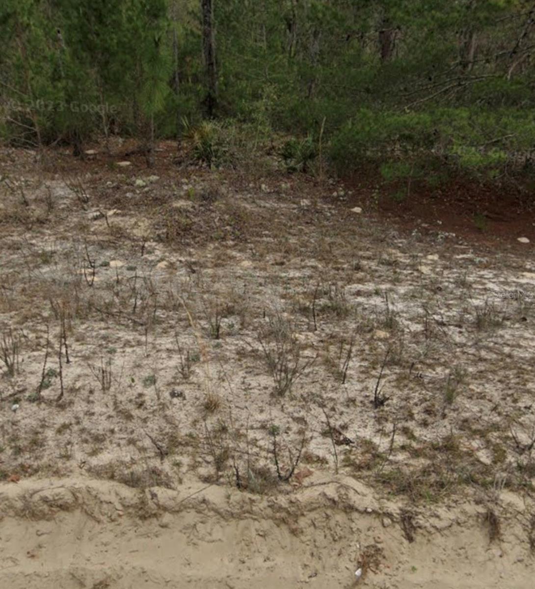 INTERLACHEN LAKES ESTATES - Land