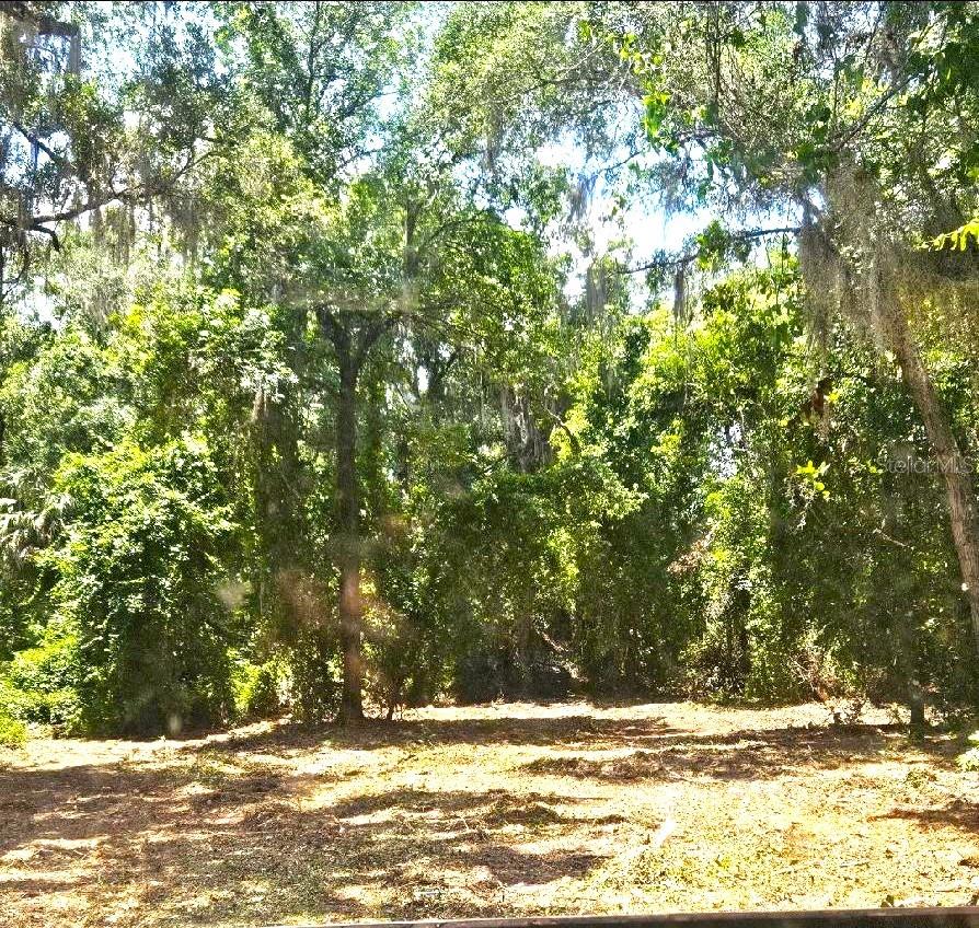 CITRA ACRES - Residential