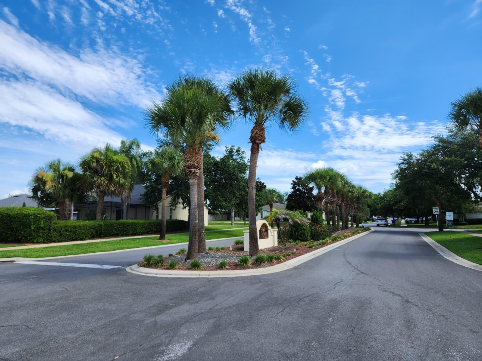 TAVARES GROVES AT BAYTREE PH 04 - Residential