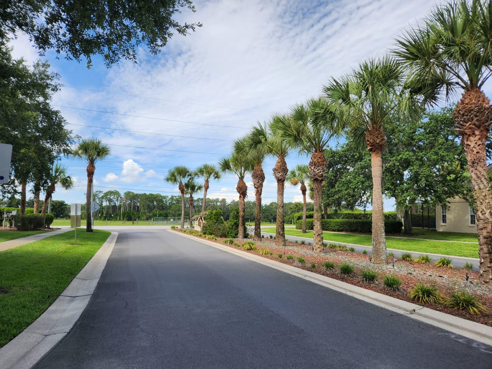 TAVARES GROVES AT BAYTREE PH 04 - Residential