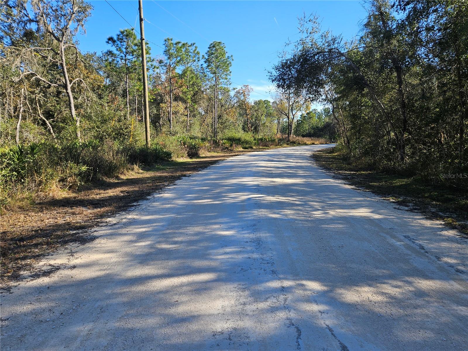 RIDGE MANOR ESTATE - Land
