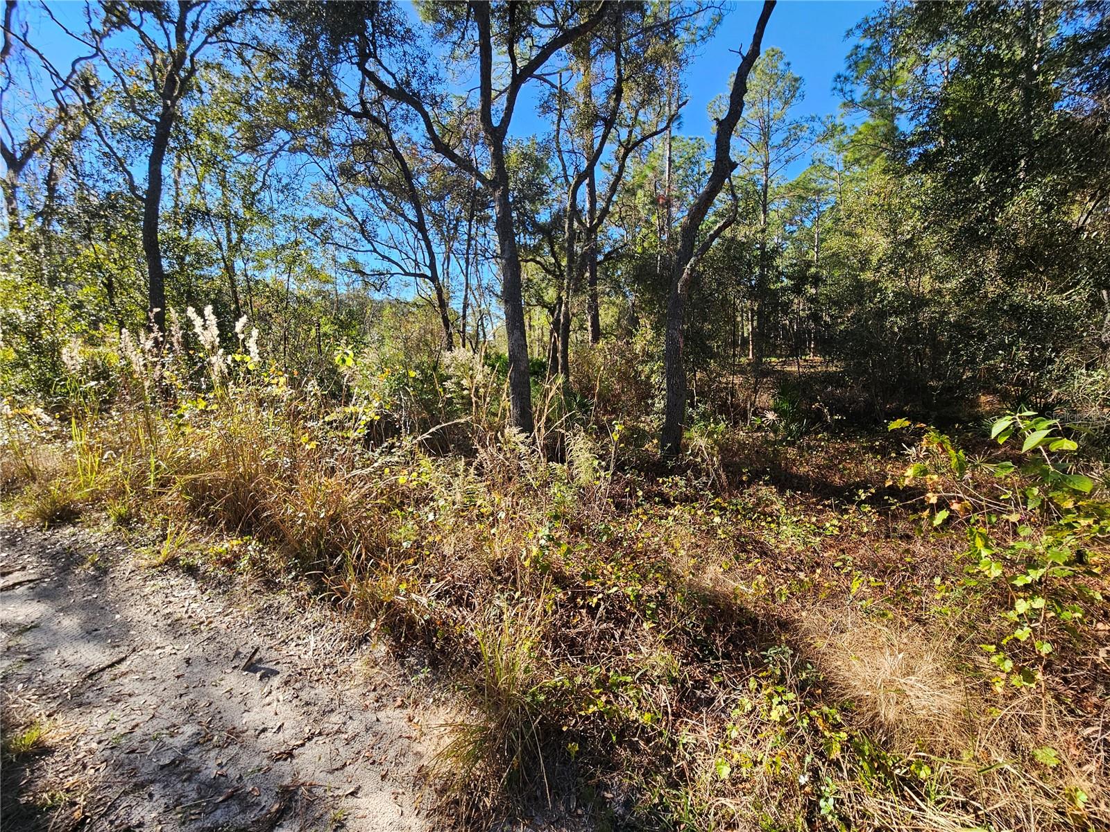 RIDGE MANOR ESTATE - Land