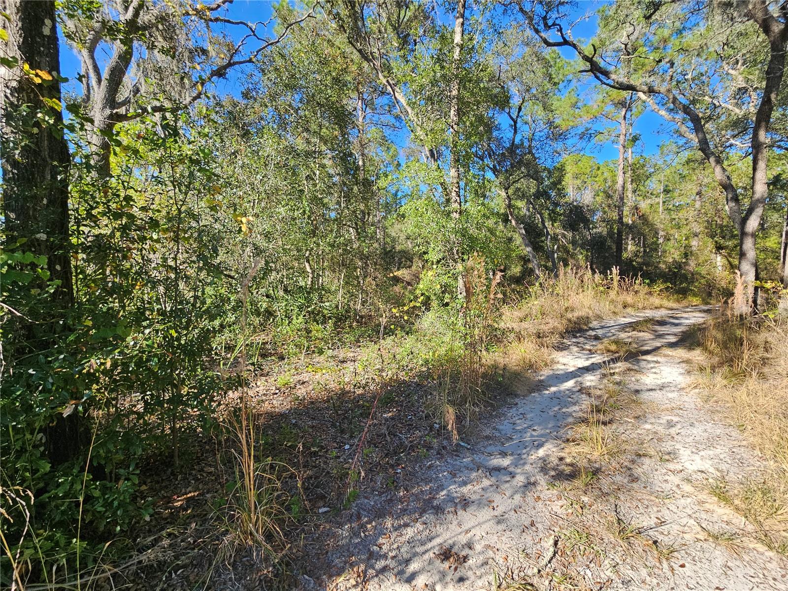 RIDGE MANOR ESTATE - Land