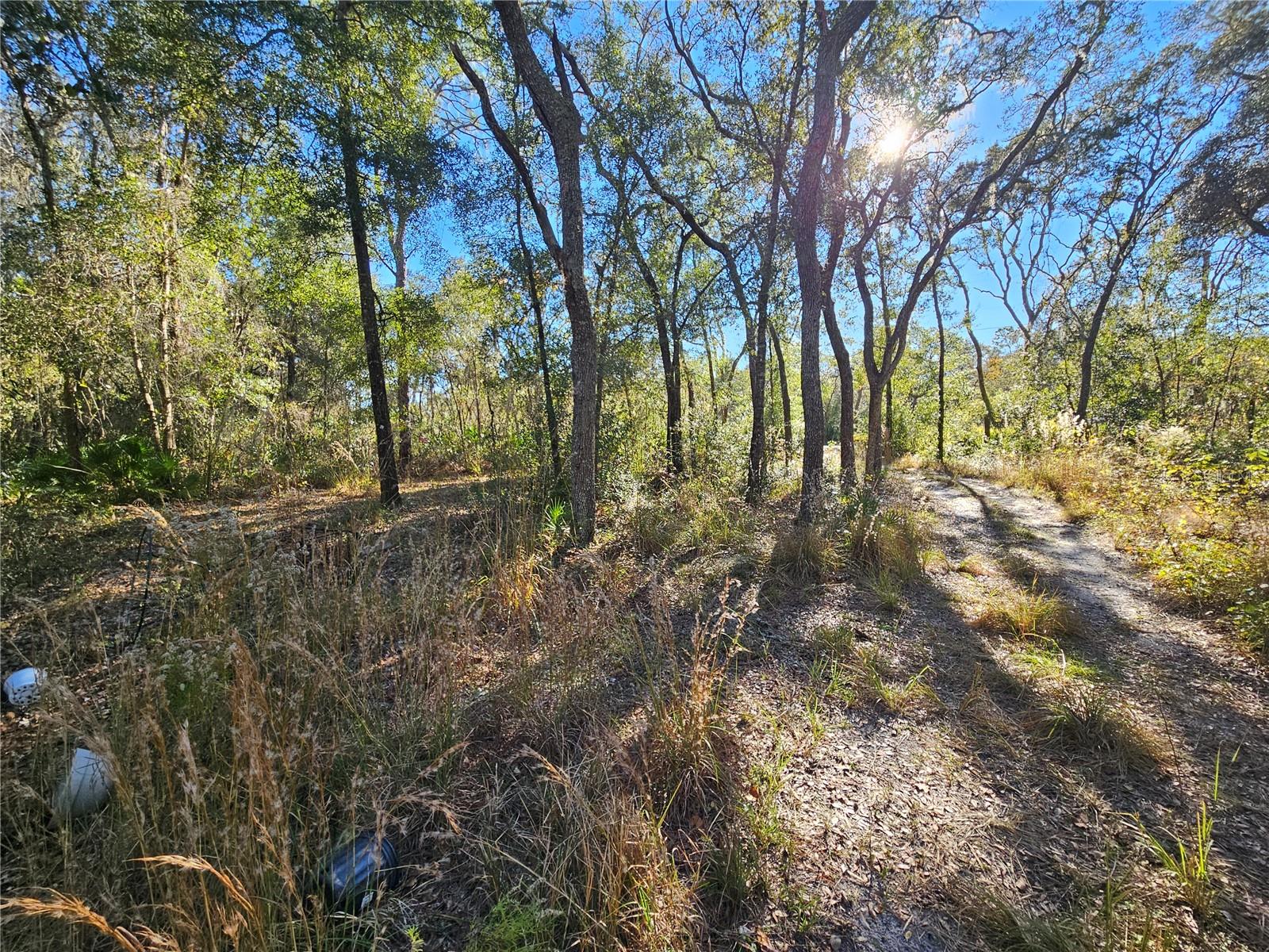 RIDGE MANOR ESTATE - Land