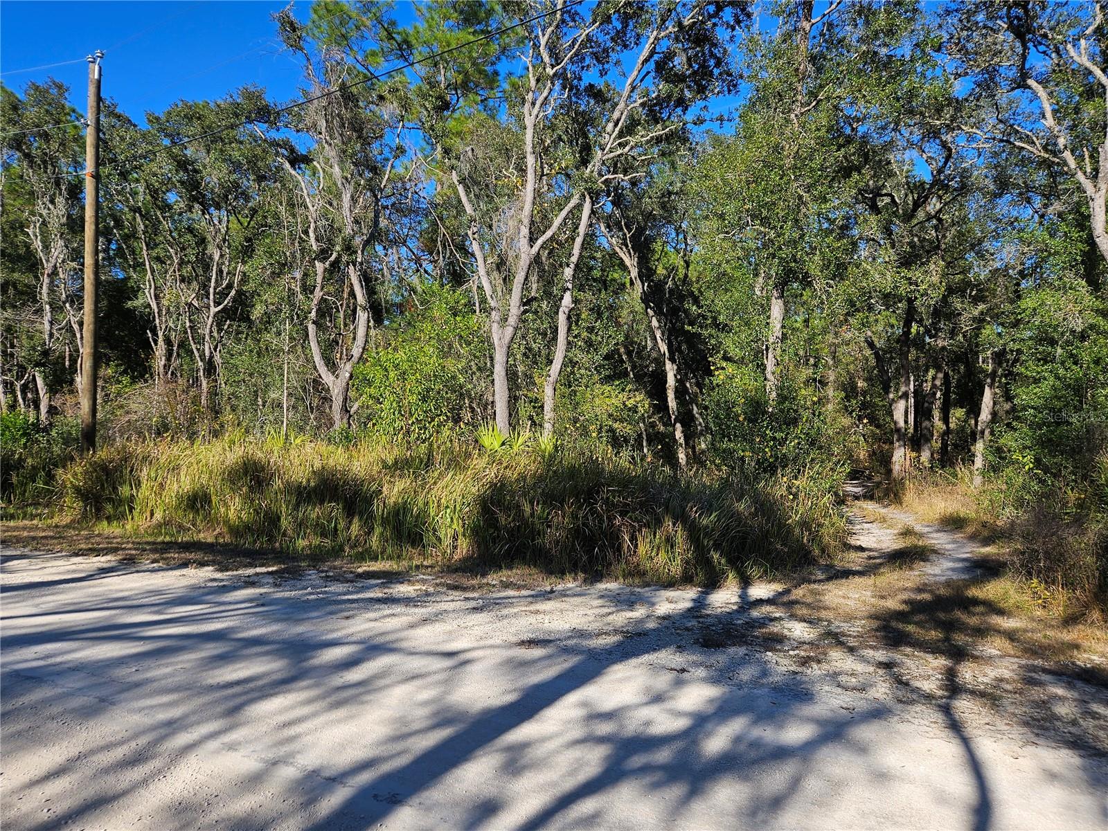 Build your dream home on this .30 ACRE wooded lot. Survey available .This virgin land is ready for your new construction or buy now and build later. Build at your own pace! There are no time constraints on building. Rear property line borders a county owned drainage canal that can give lake access when the water level is up and offers no back yard neighbors . Site built homes or modular homes permitted. No mobile homes allowed. Located within 15 minutes from 100,000+ acres of public forest recreation area which offers camping , hiking, boating, canoeing, kayaking, hunting, and fishing. Wanna go to the beach... Gulf beach is only 45 minutes away. Only 57 miles to Disney and Orlando attractions. Easy access to I-75 in with an easy 38 mile commute to Tampa.
