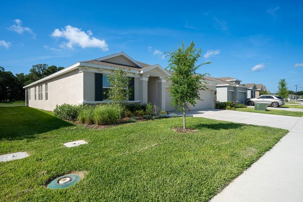 TWISTED OAKS - Residential