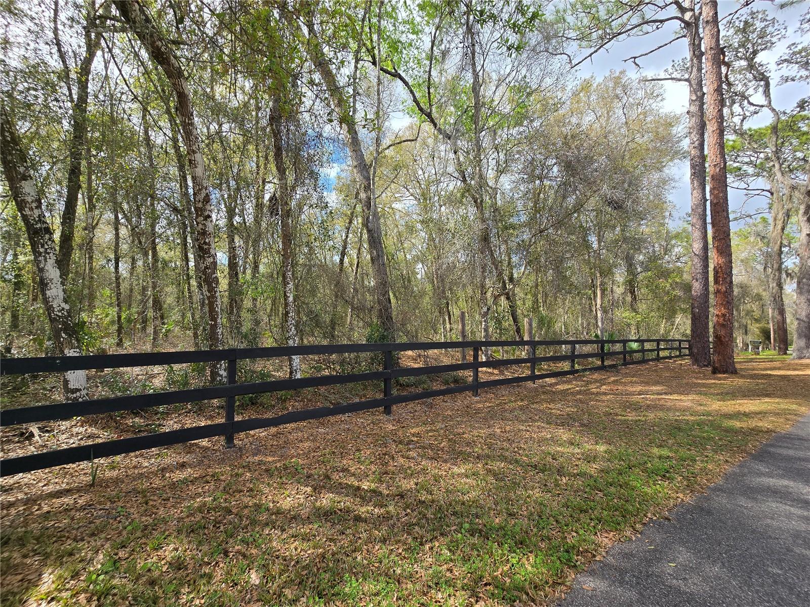 Price Adjustment!! Gorgeous 5 Acre property in Glenwood!! Take a look at this lot that is just waiting for you to build your dream home!! Light deed restrictions ensure this community stays 5 acre tracts with 2500 sq ft homes.  The biking and hiking trail runs in front of this property, so you have access to miles of trails. This high and dry property is close is a private retreat with proximity to downtown Deland, New Smyrna Beach, Sanford, and Orlando. Live in the country and still be close to Airports, shopping, and beaches.