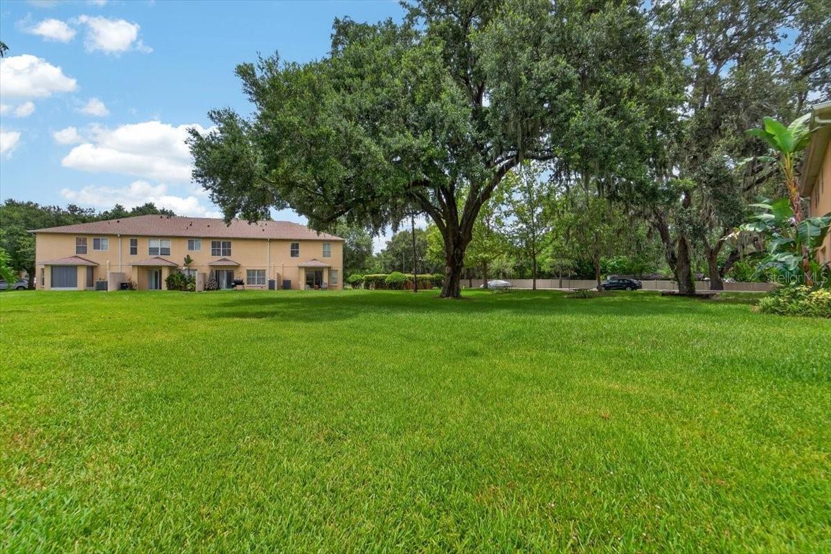 PALMETTO COVE - Residential