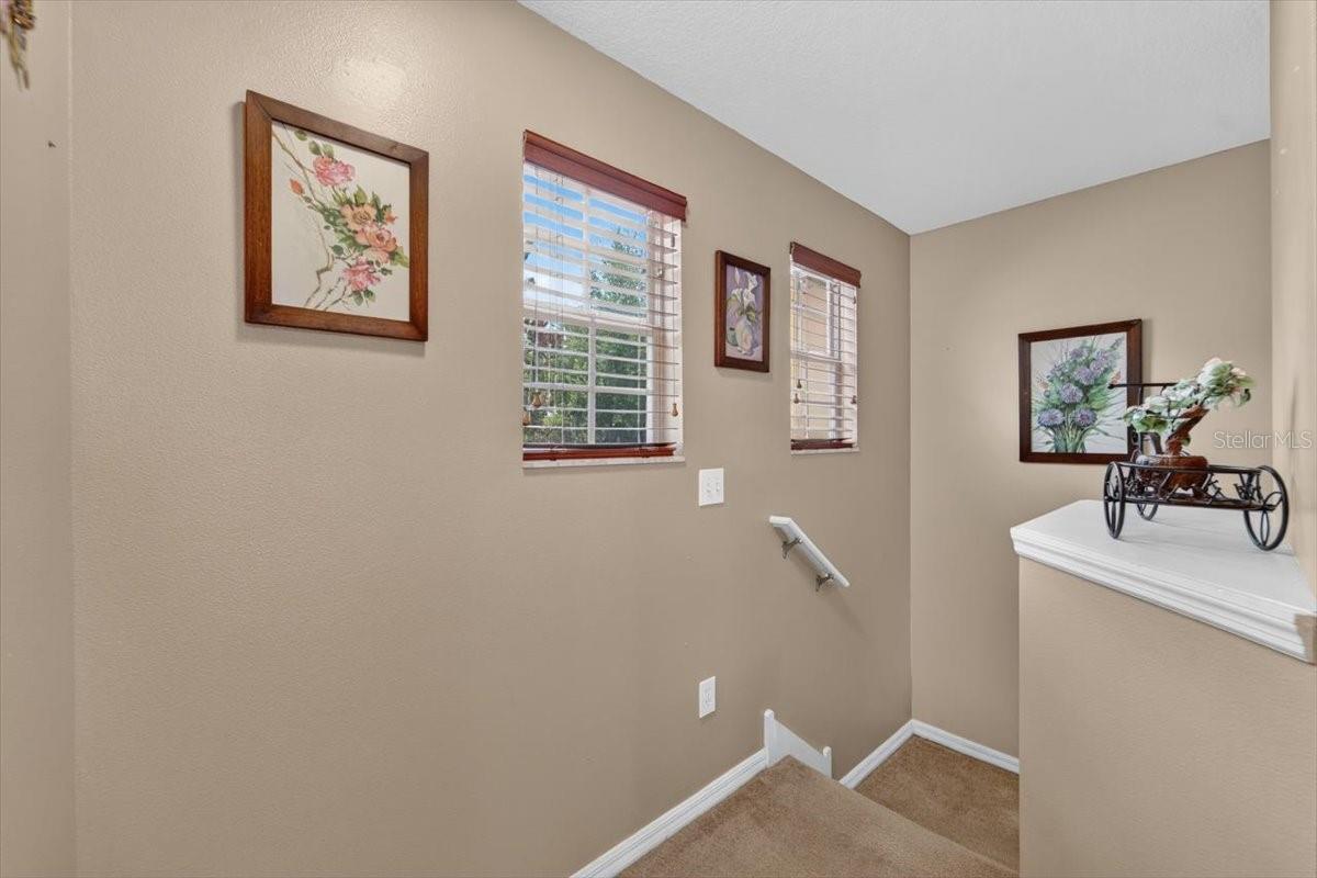 PALMETTO COVE - Residential