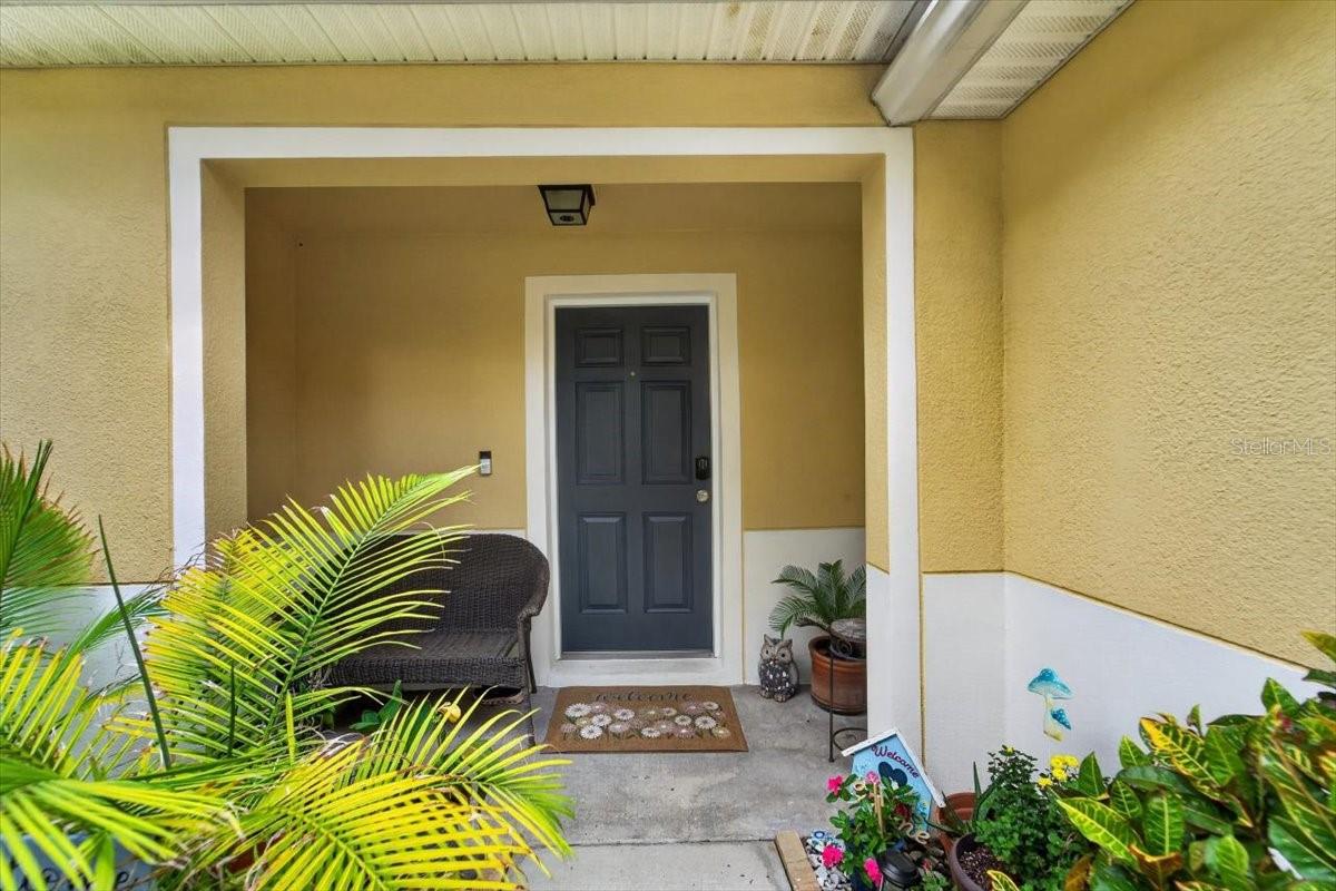 PALMETTO COVE - Residential