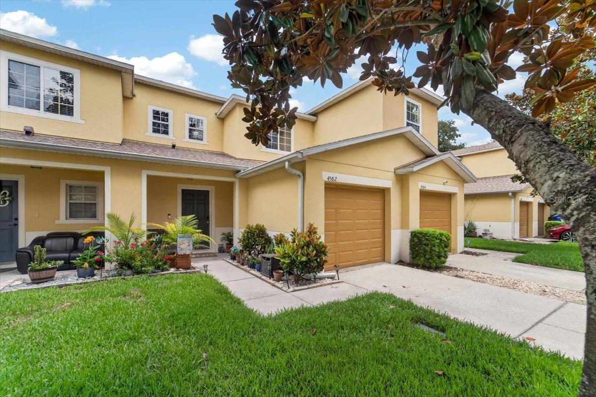 PALMETTO COVE - Residential