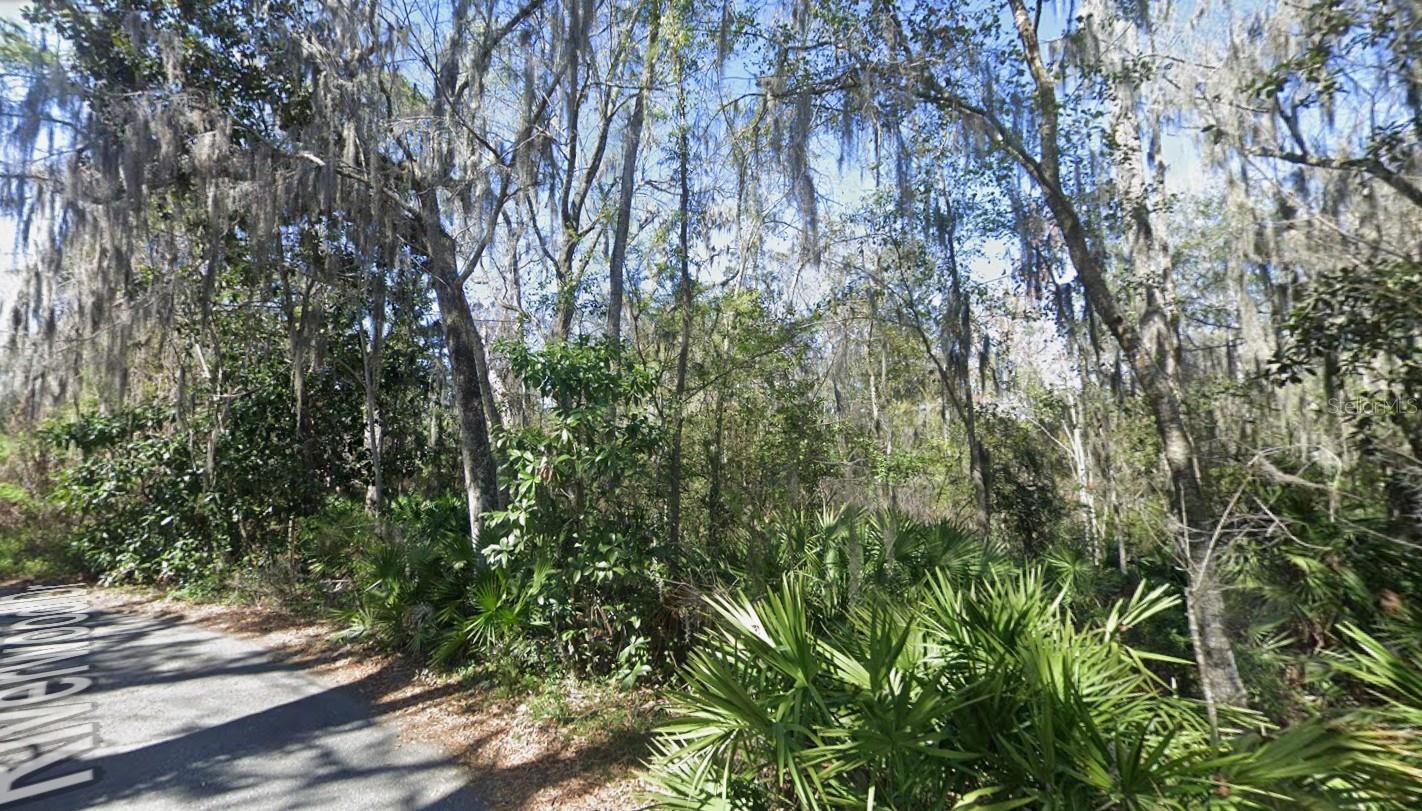 BUILD YOUR DREAM HOME ON OVER HALF AN ACRE IN FLEMING ISLAND!
Rare opportunity to own a beautiful 0.55-acre homesite in the highly desirable Riverwood community of Fleming Island. Nestled among mature trees and surrounded by established custom homes, this oversized lot features a picturesque creek running along the property, creating a peaceful natural setting and added privacy that is increasingly difficult to find.
With over half an acre of land, you'll have plenty of room to design and build your custom dream home, complete with a pool, detached garage, workshop, boat storage, or expansive outdoor living area. The combination of mature landscaping, natural beauty, and the creek frontage provides a unique homesite with endless possibilities.
Enjoy the privacy and spacious feel of Riverwood while remaining just minutes from top-rated Clay County schools, shopping, dining, golf courses, medical facilities, and the St. Johns River. Large homesites of this size are becoming increasingly rare in Fleming Island, making this an exceptional opportunity for homeowners, builders, and investors alike.
For those seeking even more space, the adjacent 0.54-acre parcel is also available for purchase, offering the potential to own a combined 1.09-acre estate-sized property. Purchase one lot or both and create a truly one-of-a-kind homesite in one of Fleming Island's most sought-after neighborhoods.