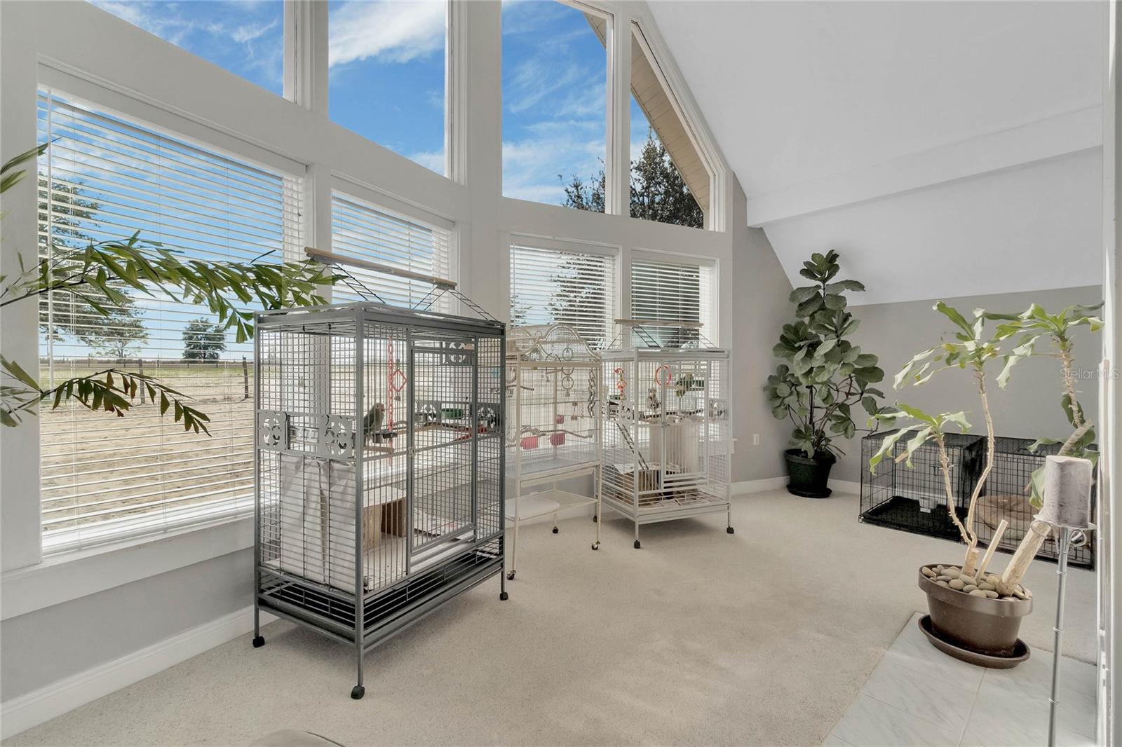 POSTAL COLONY - Residential