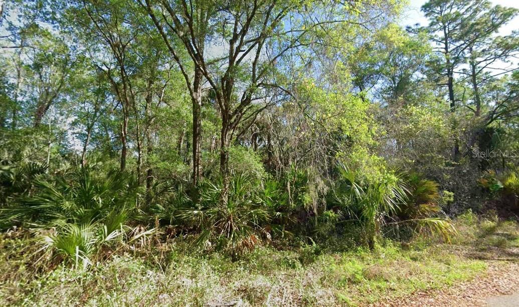 Build Your Florida Dream on 1.3 Acres in Crystal River! ?? Discover the perfect blend of privacy, nature, and adventure with this beautiful 1.3-acre parcel in Crystal River, Florida! Whether you're looking to build your forever home, create a peaceful weekend retreat, or invest in one of Florida's most desirable Nature Coast communities, this property offers endless possibilities. Imagine waking up surrounded by mature trees, fresh air, and abundant wildlife while still being just minutes from shopping, restaurants, and everyday conveniences. Crystal River is world-famous for its crystal-clear freshwater springs, incredible fishing, boating, and the unique opportunity to swim alongside gentle manatees. Nearby Attractions & Amenities: ?? Just minutes from Three Sisters Springs, one of Florida's most stunning natural spring systems, known for kayaking, paddleboarding, and seasonal manatee viewing.
?? Enjoy a relaxing day at Fort Island Beach with sandy shores, fishing pier, boat ramp, and breathtaking Gulf Coast sunsets.
?? Explore hiking, birdwatching, and scenic waterways at Crystal River Preserve State Park.
?? Launch your kayak or paddleboard from Hunter Springs Park and explore the pristine waters of Kings Bay.
?? Excellent boating, fishing, scalloping, and waterfront dining are just a short drive away.
??? Convenient access to grocery stores, local restaurants, medical facilities, and charming downtown Crystal River.
Why You'll Love Living Here:
Spacious 1.3-acre homesite with room to spread out
Peaceful setting surrounded by Florida's natural beauty
No crowded subdivisions—enjoy privacy and freedom
Ideal for outdoor enthusiasts who love boating, fishing, kayaking, hiking, and wildlife
Located in Florida's renowned Nature Coast, where life moves at a relaxing pace while remaining within easy driving distance of Tampa, Ocala, and Gainesville.