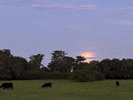 ACREAGE & UNREC - Residential