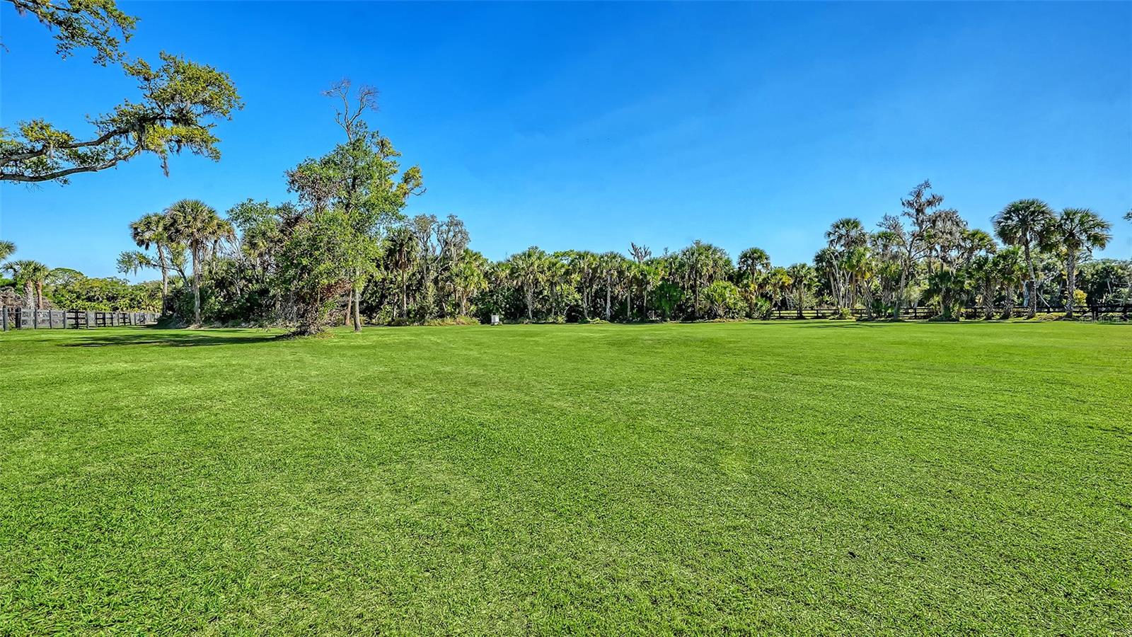 SADDLE CREEK - Residential