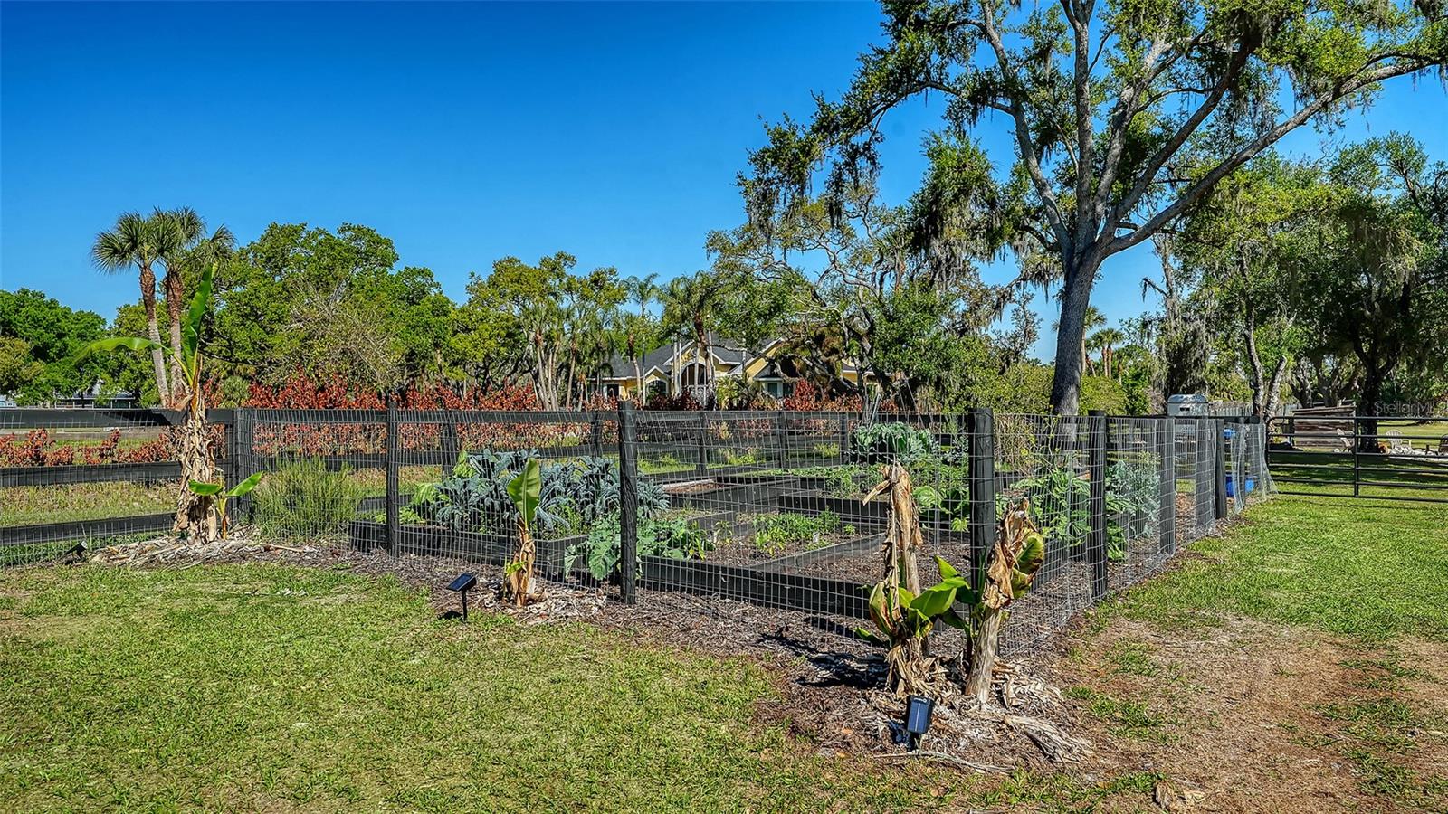 SADDLE CREEK - Residential