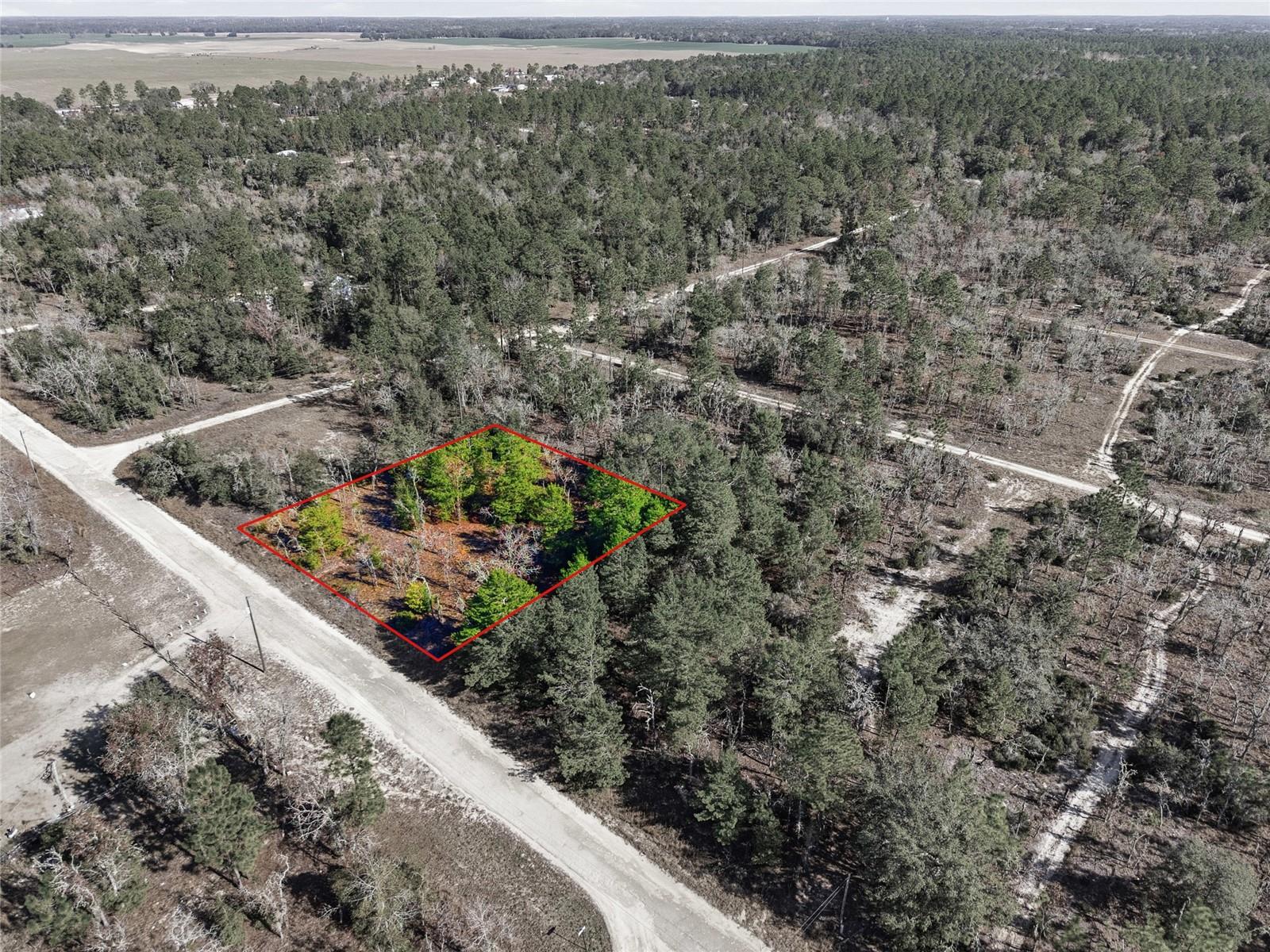 This exceptional offering includes two wooded lots totaling 0.46± acres, sold together and not available individually, presenting a great opportunity in an area experiencing strong growth with multiple new construction homes nearby. With no HOA fees, the property offers flexibility and freedom for future use or development. Located on a limerock road approximately ¼ mile off paved access, the lots provide a quiet setting while remaining easily accessible. The natural wooded landscape creates an ideal canvas for a custom home or investment project, blending privacy with a neighborhood atmosphere. Whether you’re planning to build now or hold for future potential, this well-located property offers value, growth, and opportunity—inquiries are welcome or visit the site directly to explore its potential firsthand.