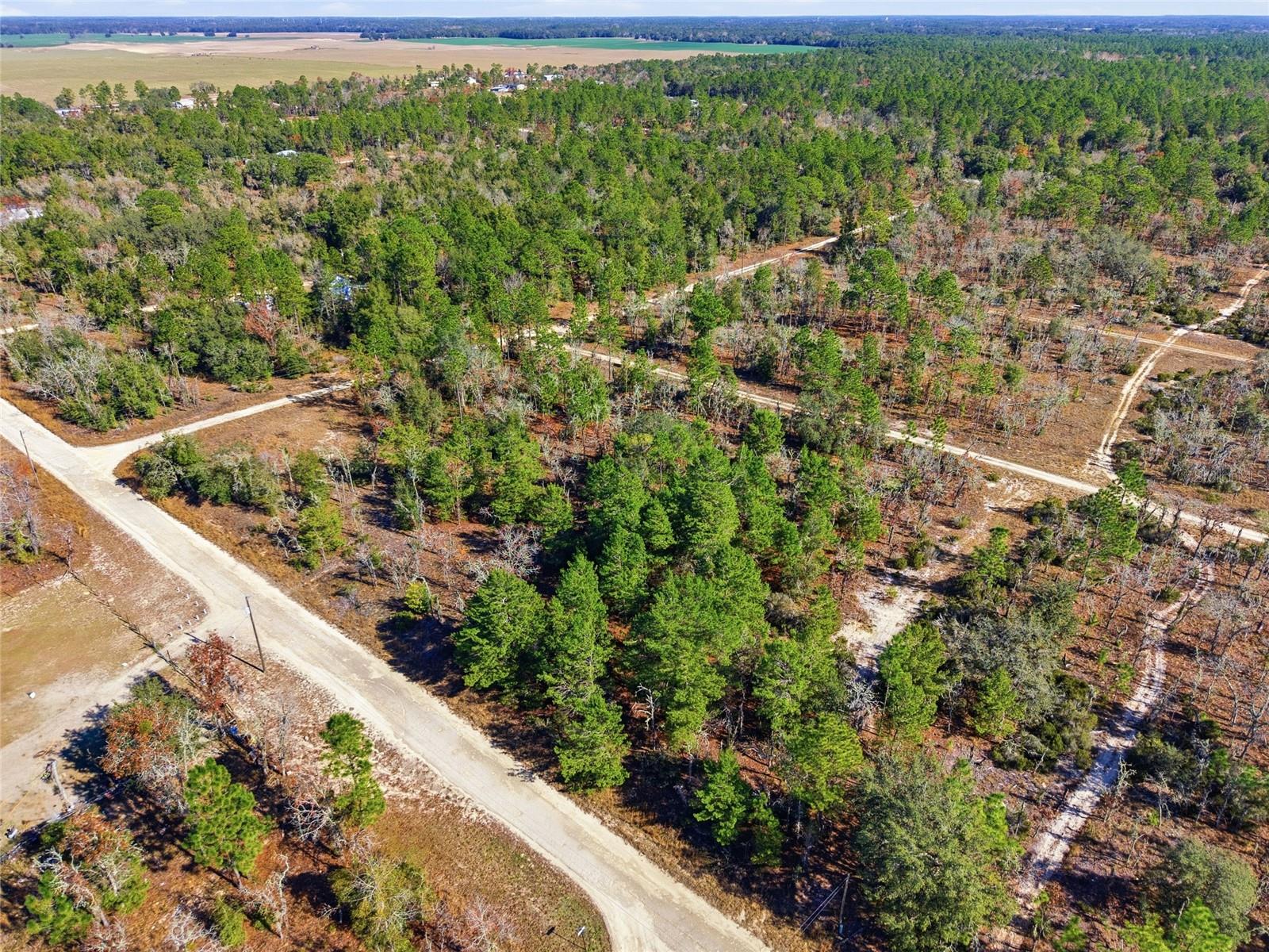 WILLISTON HYLNDS GOLF & C CLUB ESTATE - Land