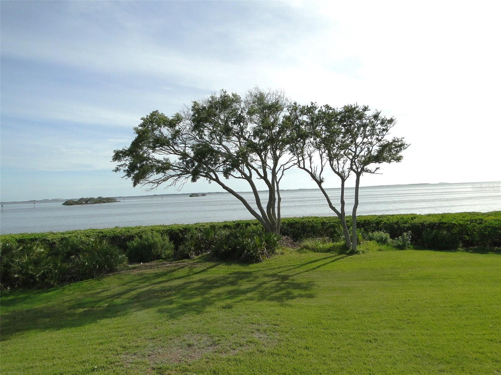 TARPON COVE CONDO - Residential Lease