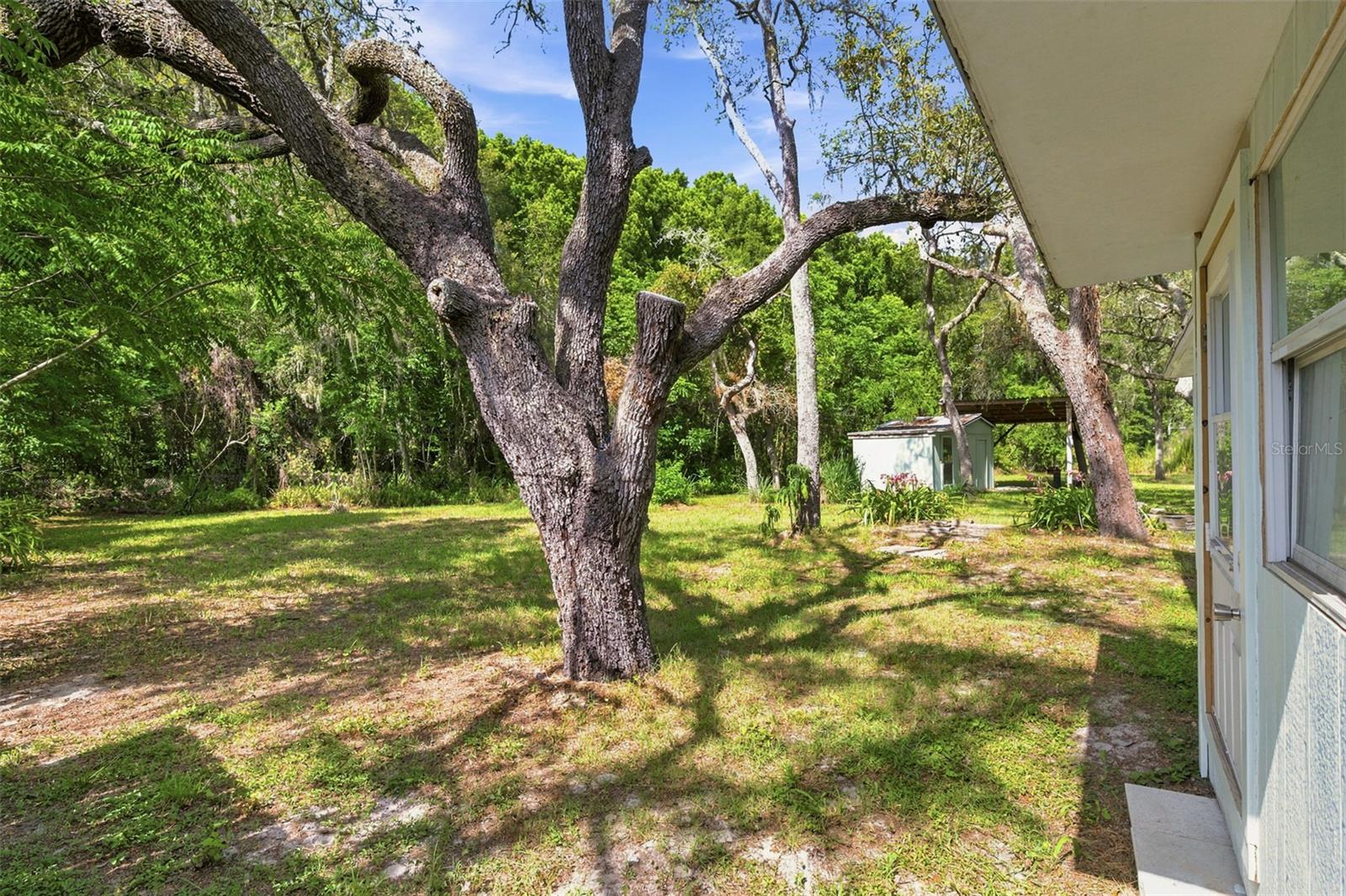 MOON LAKE ESTATES - Residential