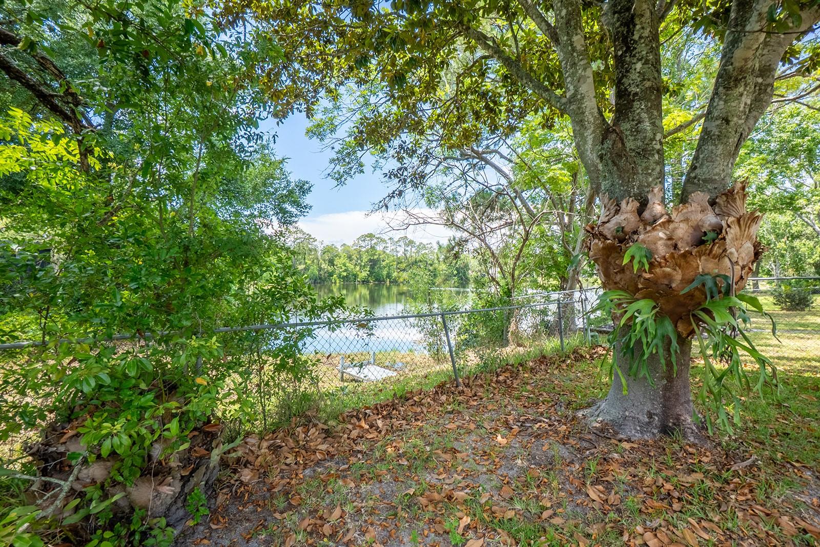 PALM HARBOR - Residential