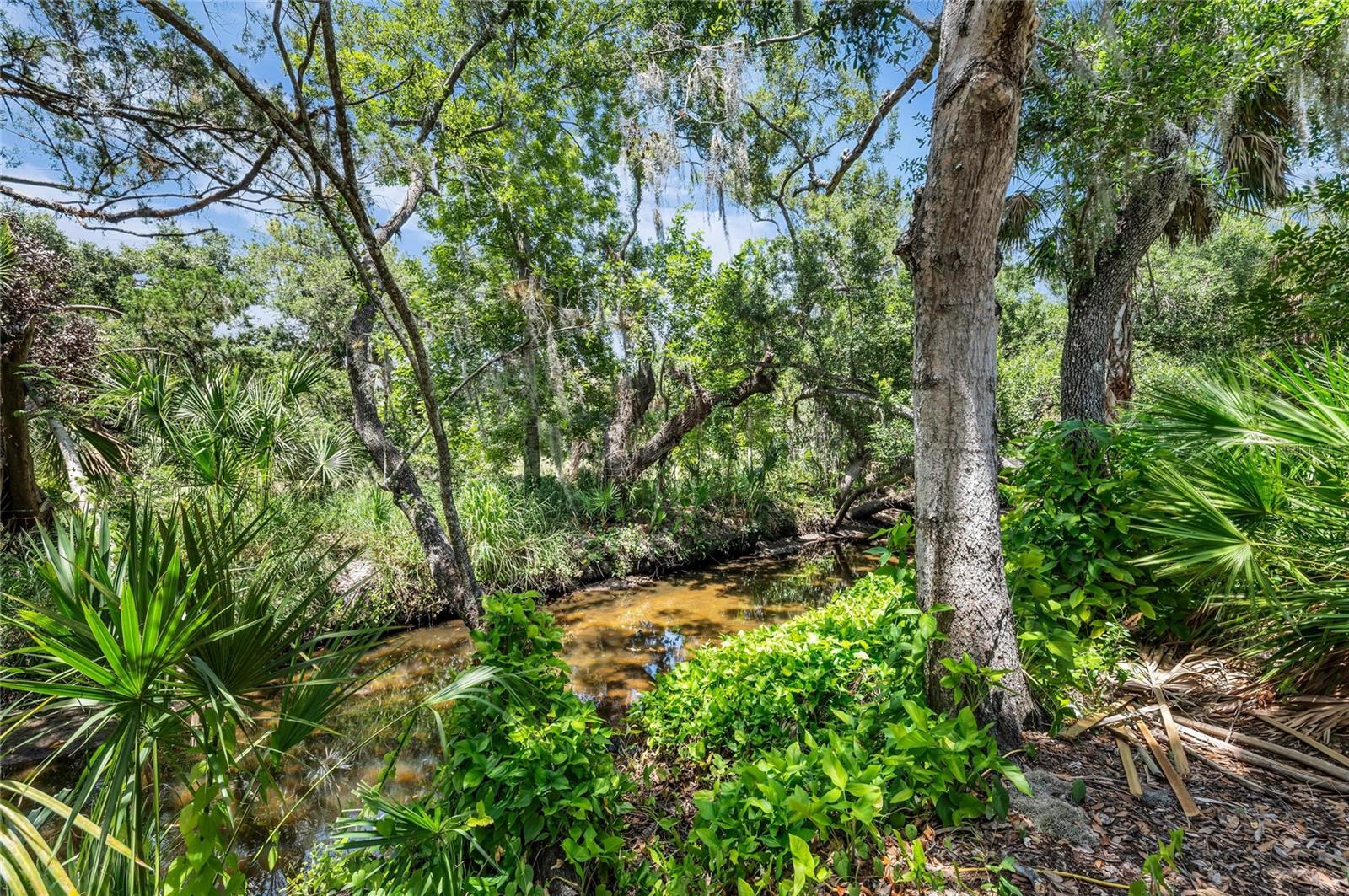 RIVER FOREST - Residential