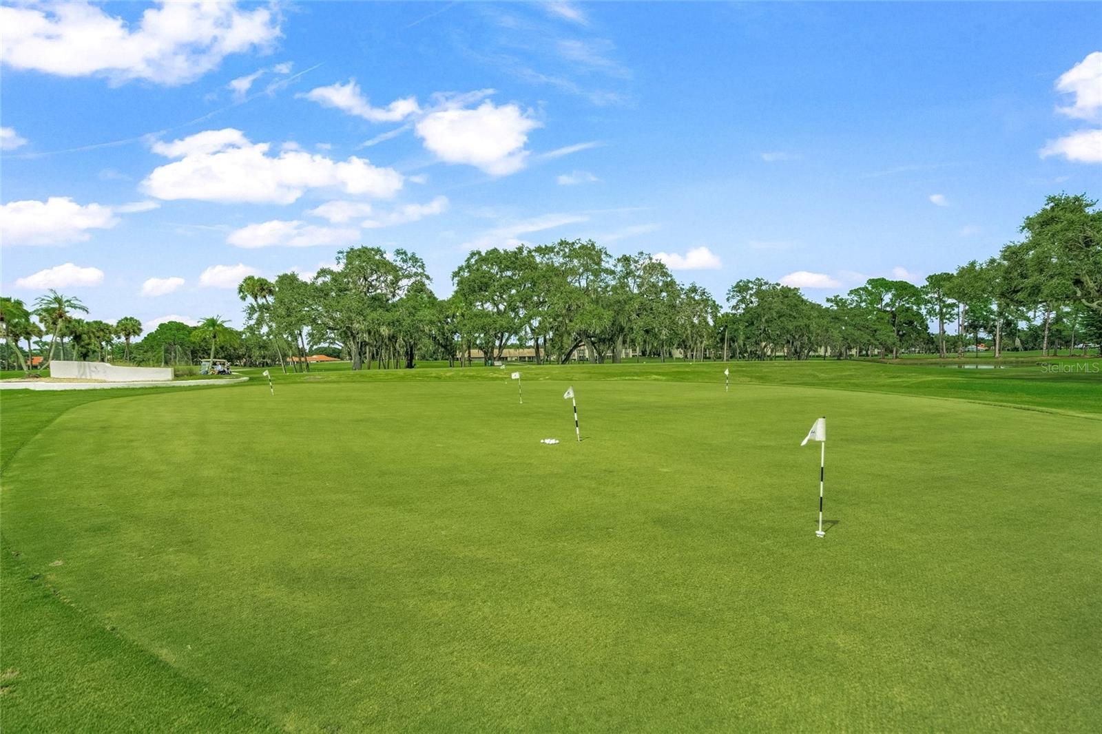 PALM-AIRE DESOTO LAKES COUNTRY CLUB - Residential