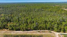 Come and enjoy this five plus acre home site, beautiful trees tons of privacy and is still located near Dunnellon and to Crystal River.  High and dry and flat, just pick your site and build your new home or bring in a new manufactured home.  Don't delay and call today.