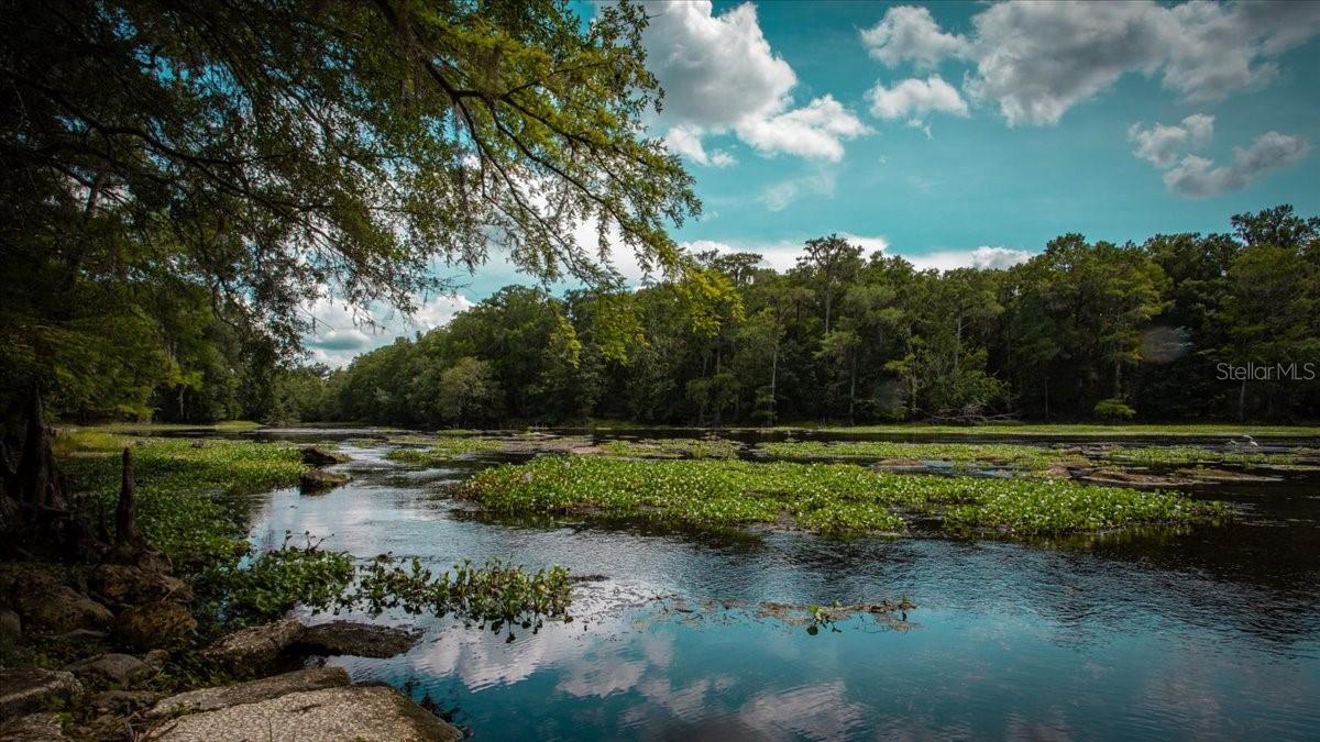 BLUEBIRD LANDING - Land