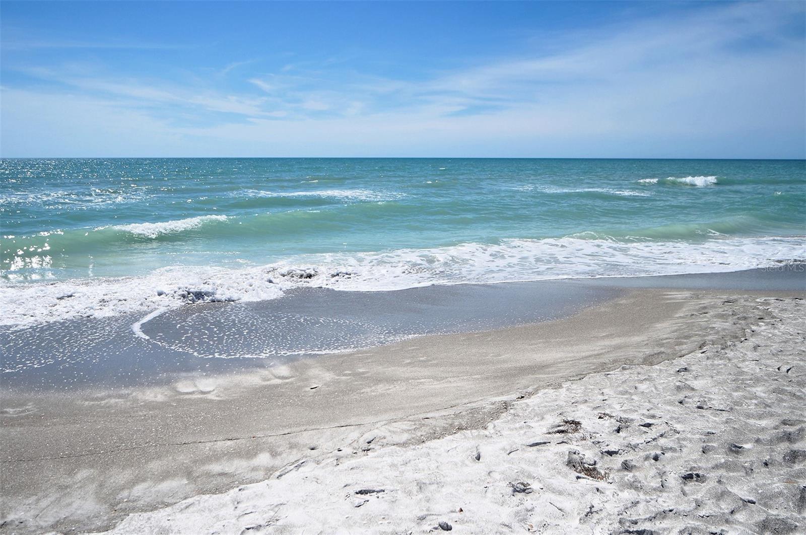NEPTUNE ON LONGBOAT KEY - Residential