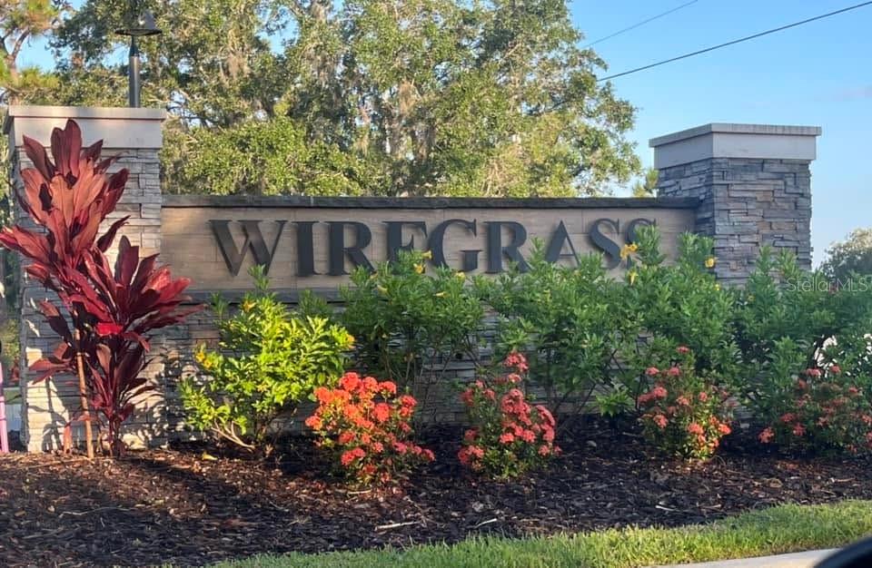 WIREGRASS PH 1 - Residential Lease