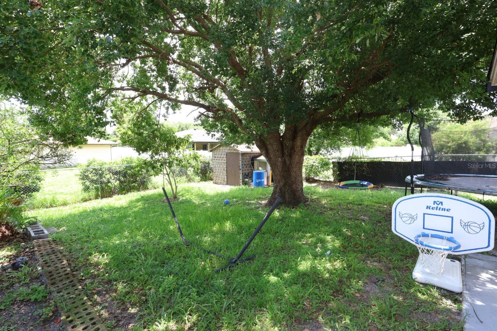 DELTONA LAKES UNIT 11 - Residential