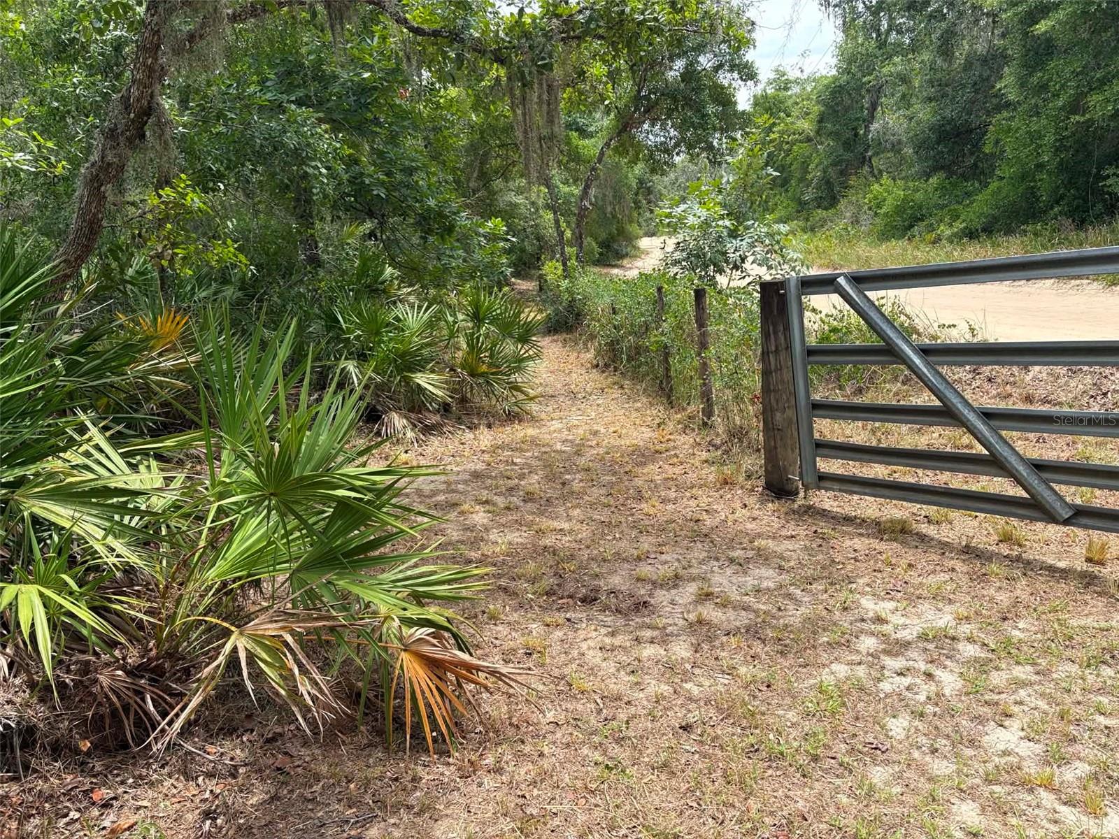 GROVELAND FARMS #49 - Land
