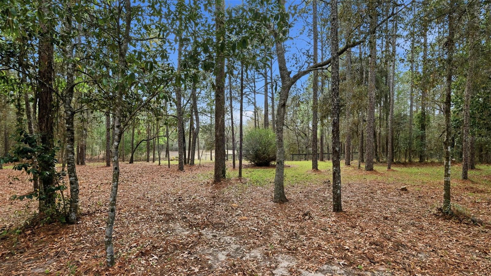 OAK FOREST UNIT 02 - Residential