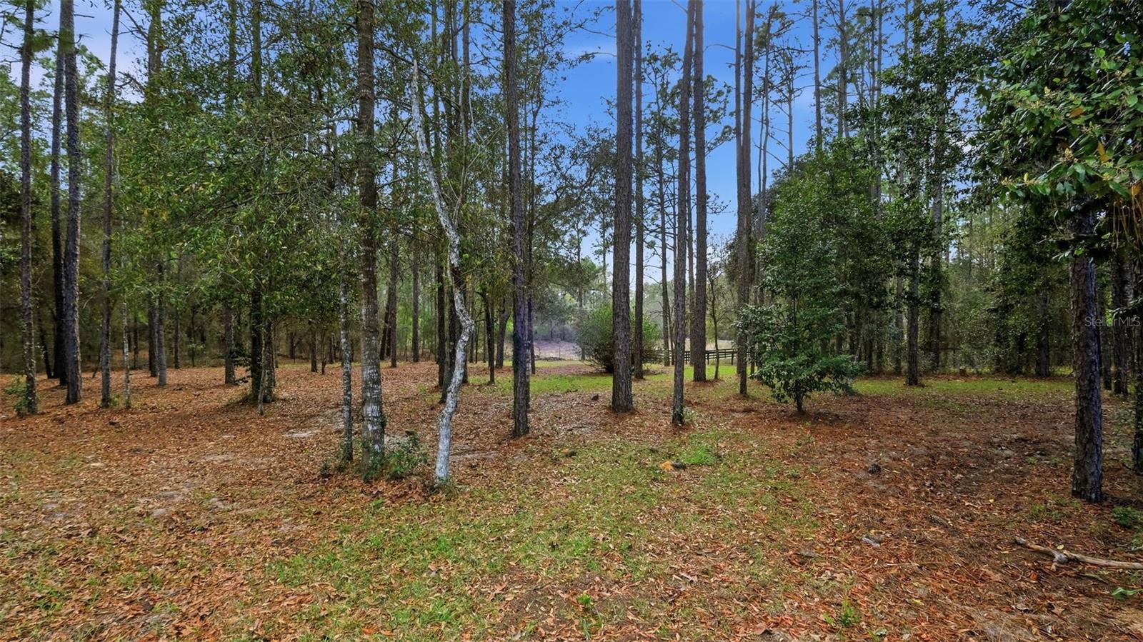 OAK FOREST UNIT 02 - Residential