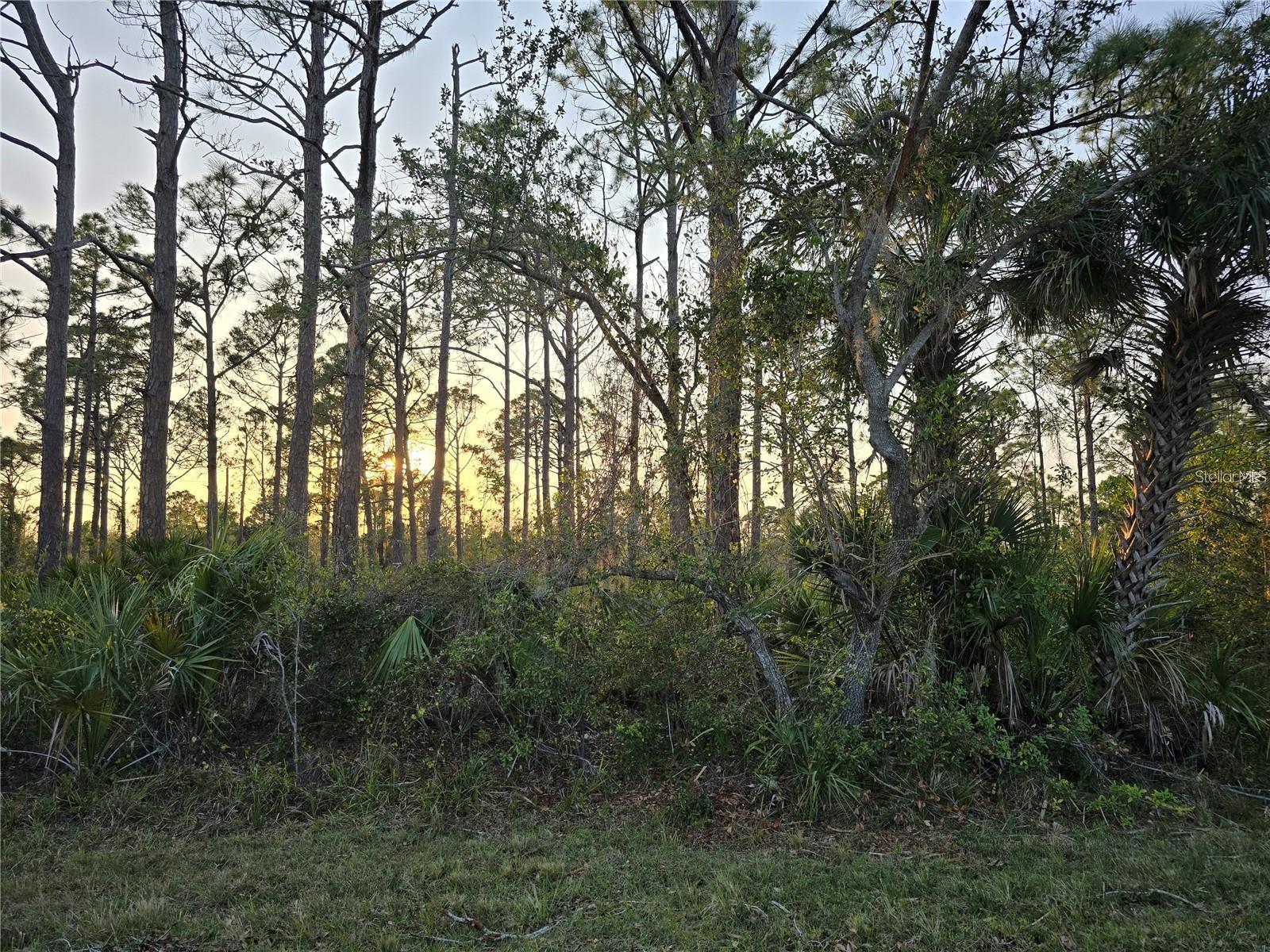 PORT CHARLOTTE SEC 061 - Land