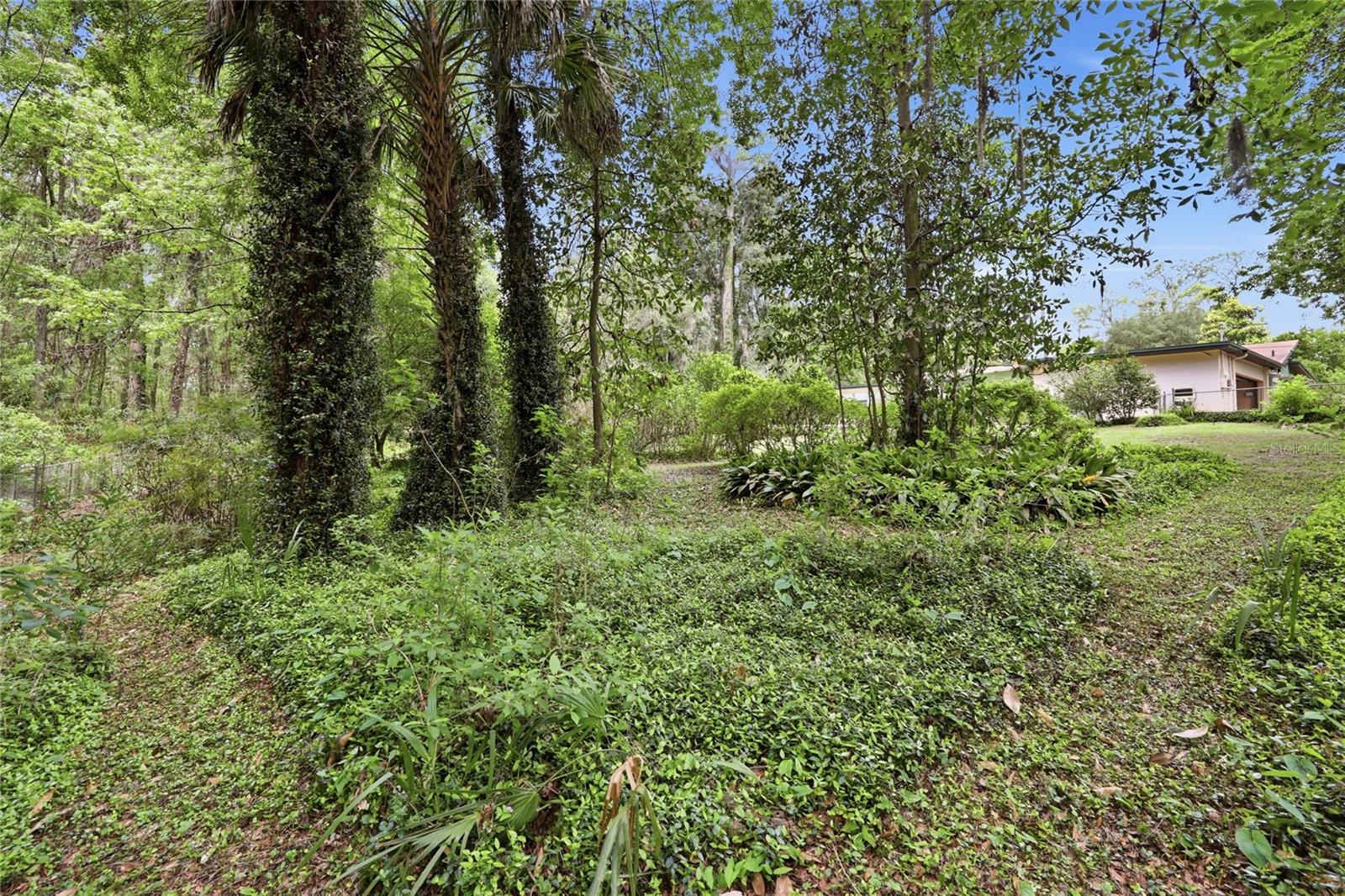 UNIVERSITY ACRES - Residential