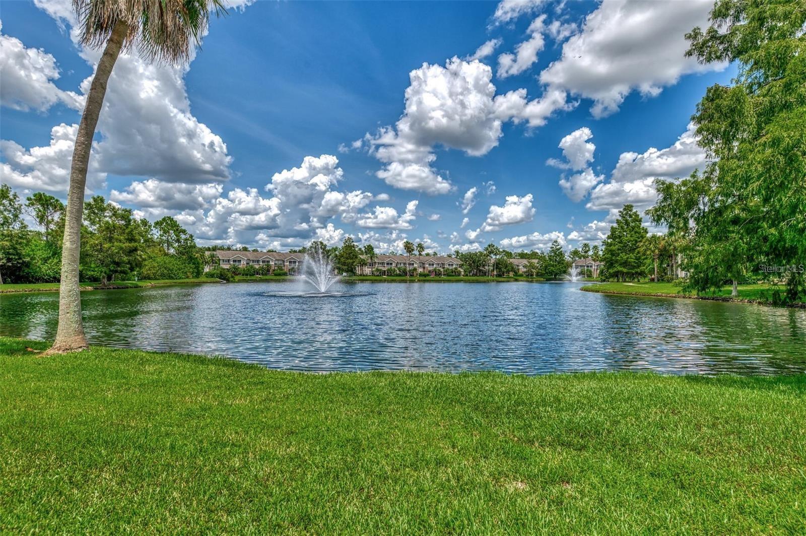 THE VILLAGE AT TOWNPARK - Residential