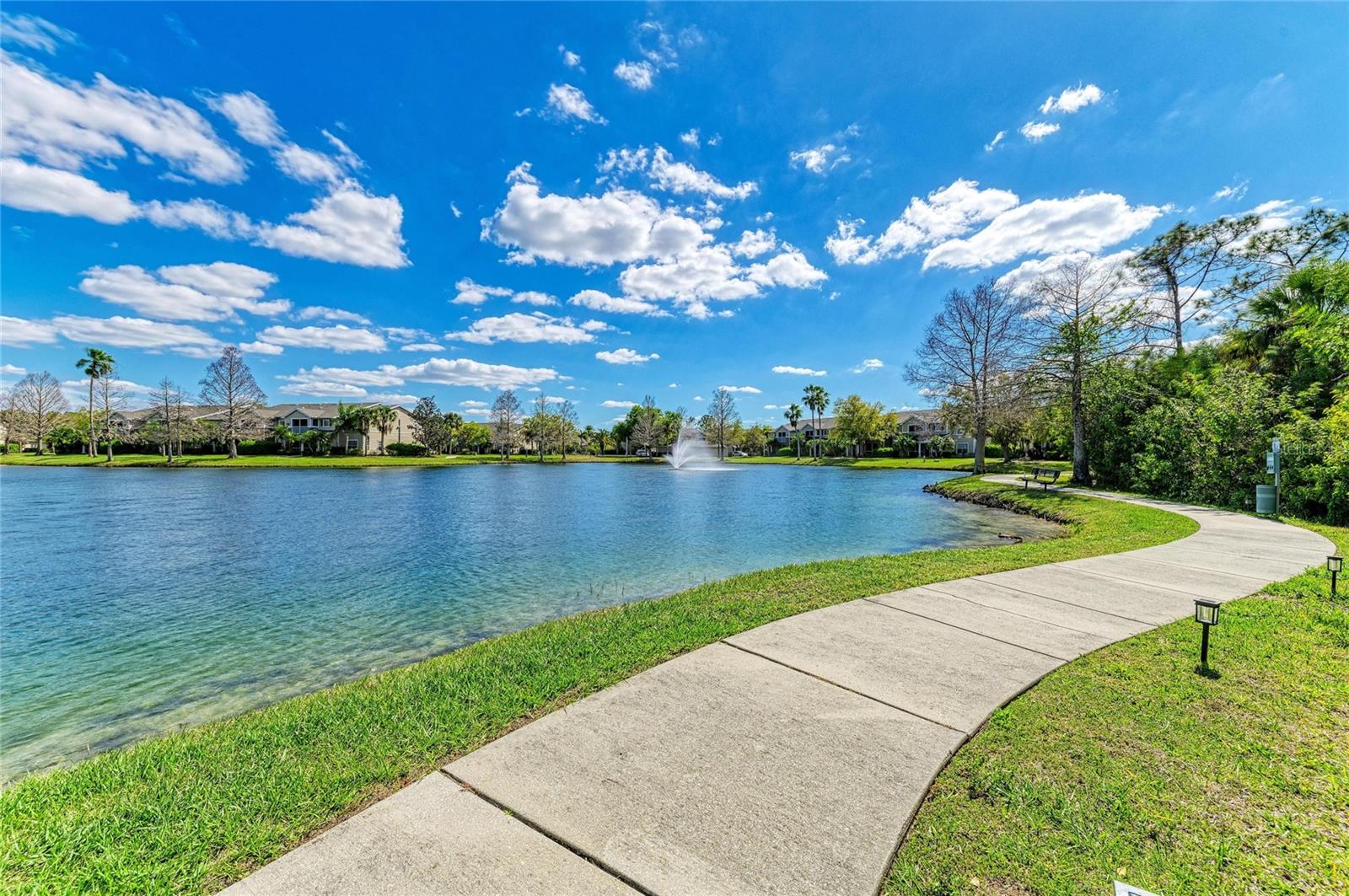 THE VILLAGE AT TOWNPARK - Residential