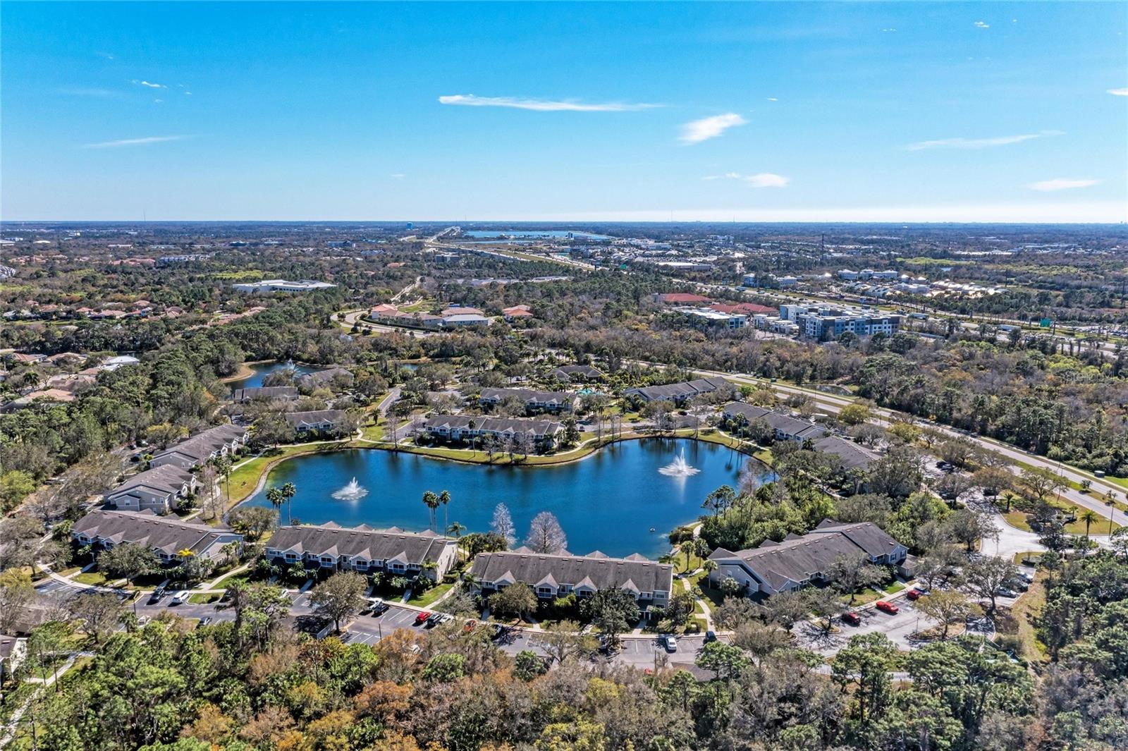 THE VILLAGE AT TOWNPARK - Residential