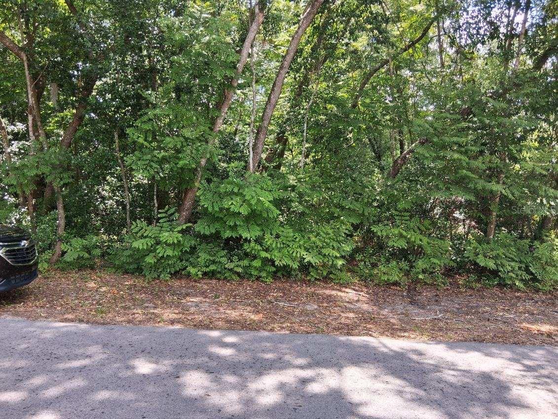 R-6 ZONING IN THE CITY LIMITS OF WEBSTER! This parcel is a 1.10 acre lot, with endless possibilities to build your single family home with an ADU.
The County zoneing is R6C in the Urban Residential Land Use District. R6C allows up to 6 units an acre with city water and sewer. Each lot would need to be at least 7,260 sq ft and 50 ft wide. They will need to plat if you want to divide in to more than 2 lots. This will mean paved roads ( no unimproved easements ).  County: any structures within ( even partially ) the flood zone will need to be elevated one foot over BFE with an elevation certificate.
This location is extremly desirable, with convenient access to local amenities, major roadways and nearby attractions. Enjoy the peace and tranquility of a rural settingg while still being within reach of everyday conveniences. Webster has a rich cultural heritage and a range of recreational activities for all to enjoy. Please see attachments.