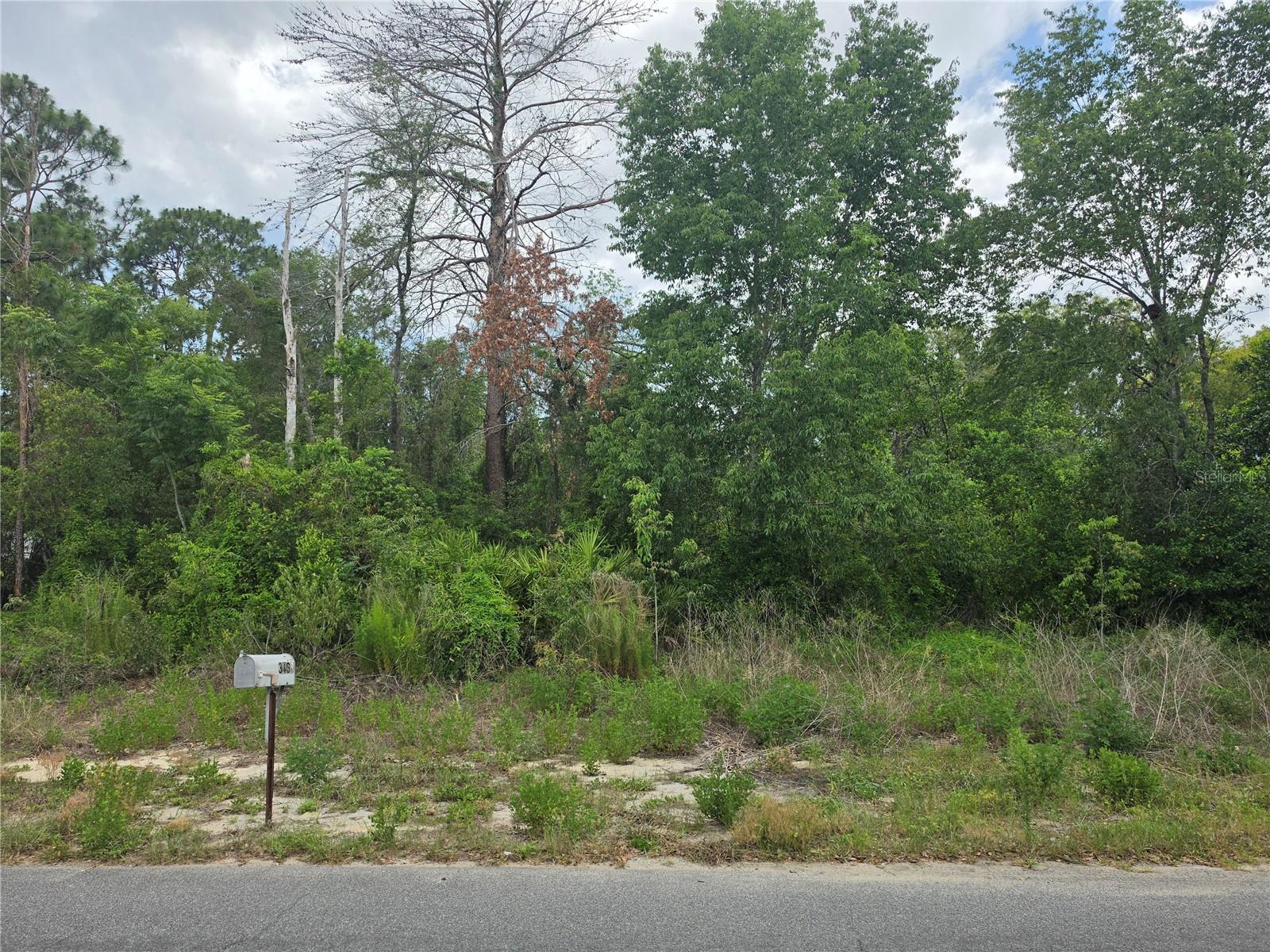 SPRING HILL - Land